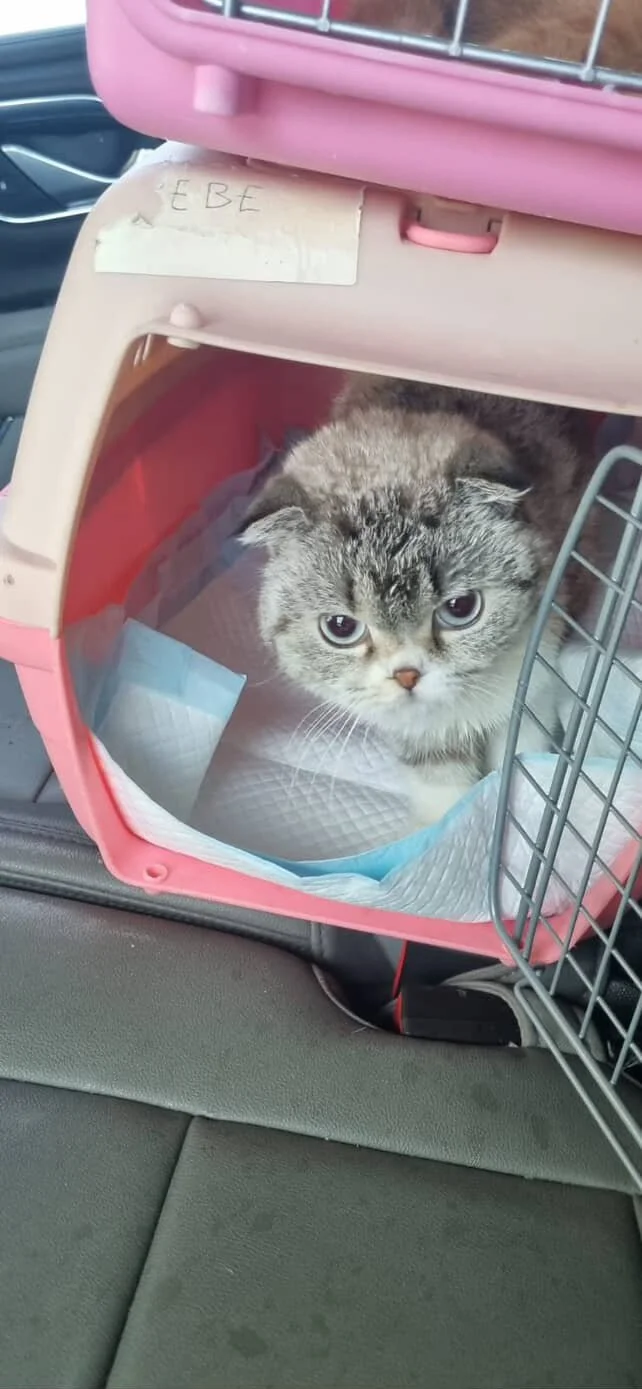 44E2D256-92BD-4385-9C3F-759FBB0B0CB3 2.JPG