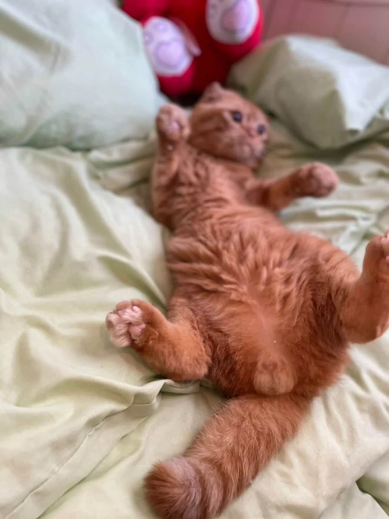 750D1250-1C19-4E45-9099-75C7D1B56412 2.JPG