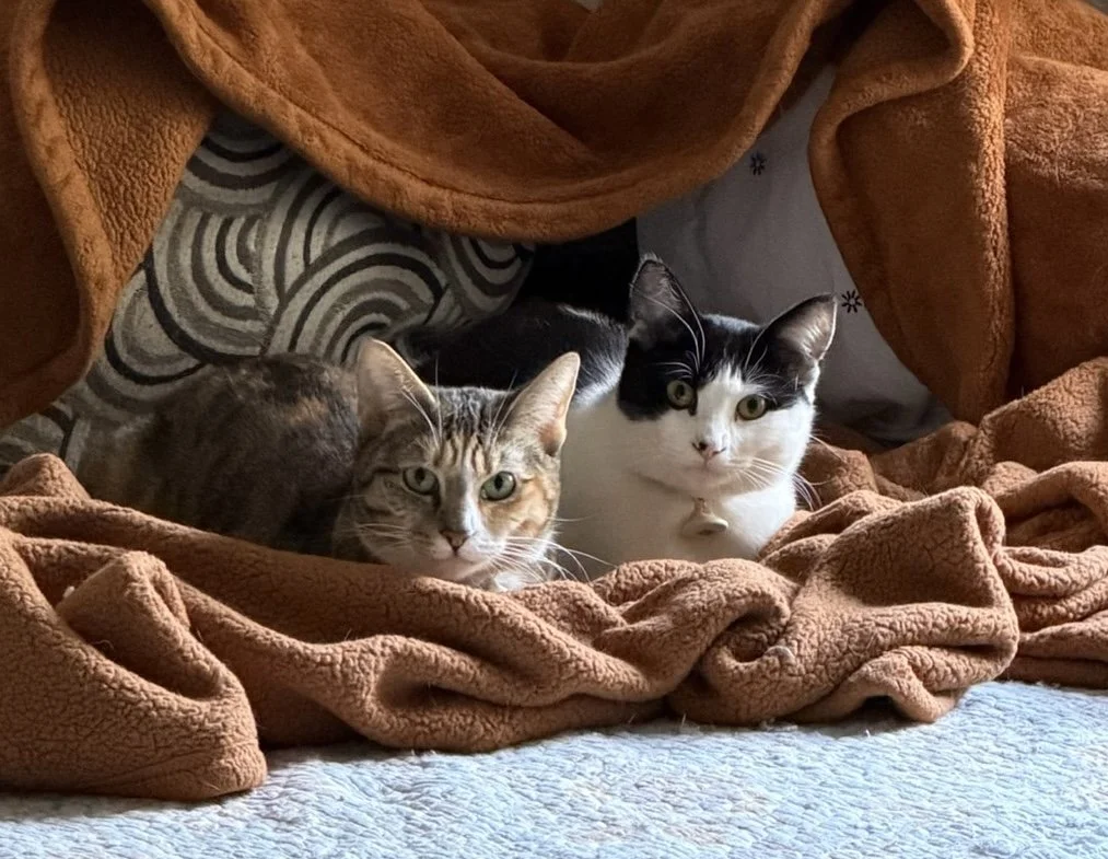 Goldie and Inchworm