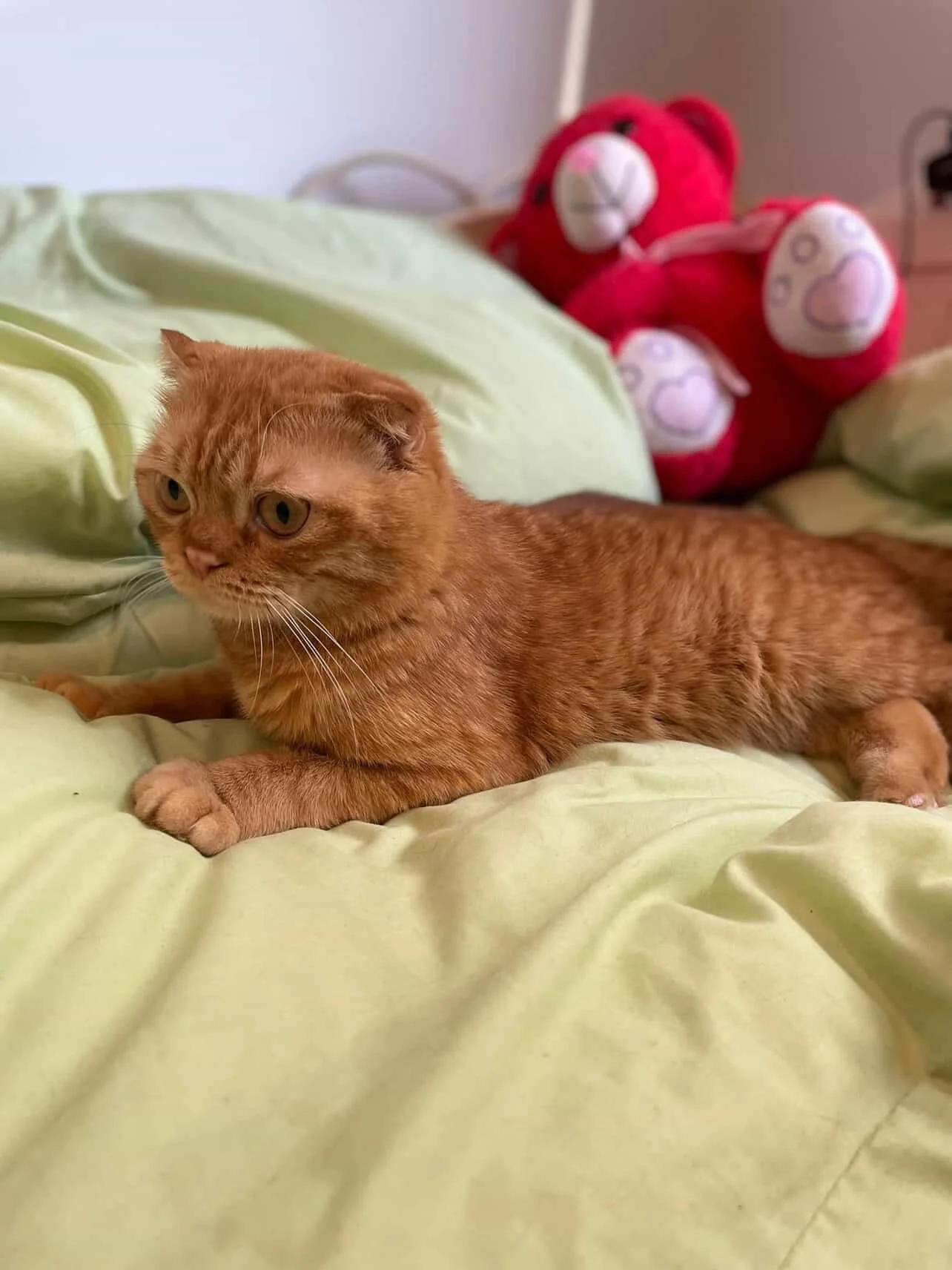 41CFFF27-81E7-4574-9F8B-BD95167B12EE 2.JPG