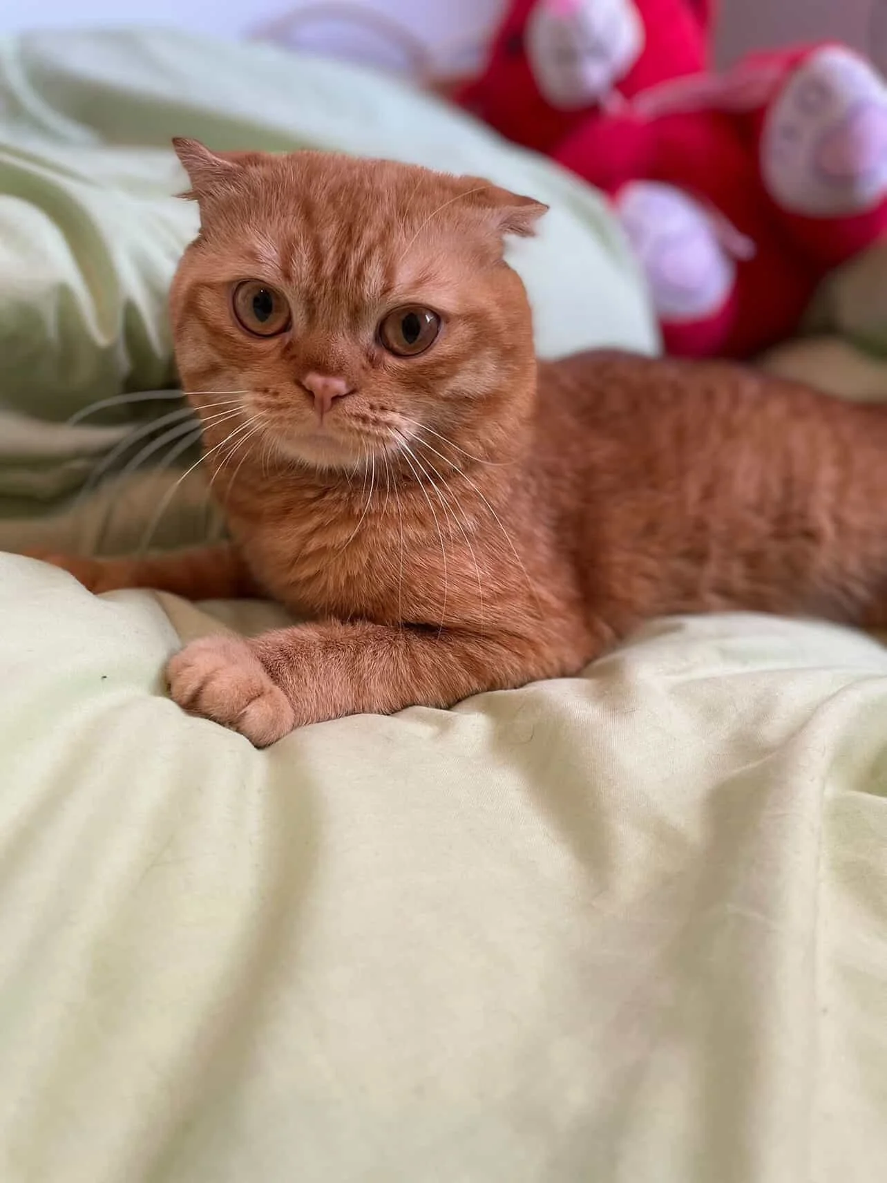 43CBF514-52E1-4045-9D78-448AFDAFC8B8 2.JPG