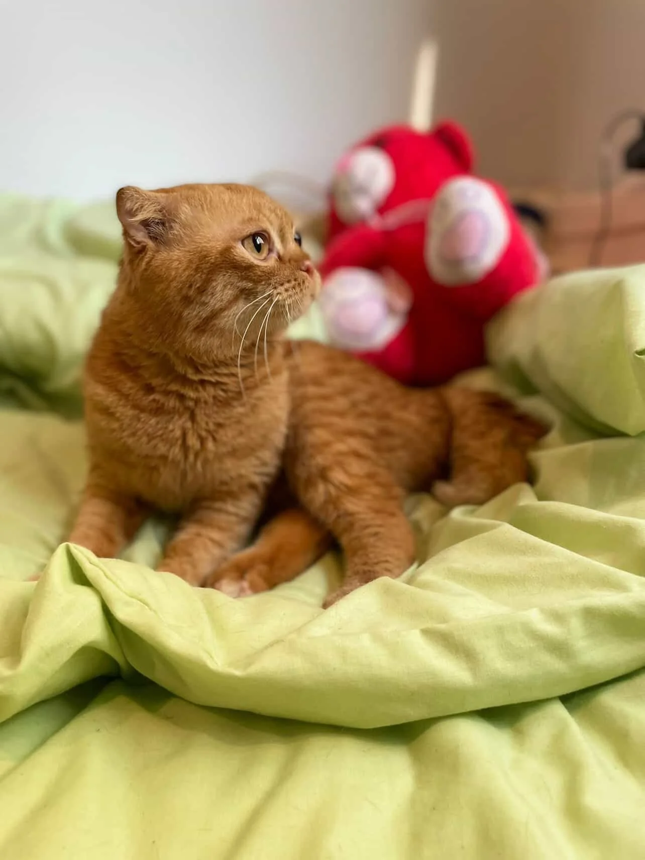 F9BF2D70-099F-4889-A824-97DFCB94447C 2.JPG