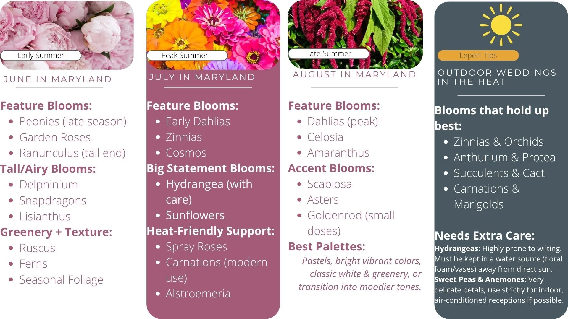 Best Seasonal Flowers in Maryland for Summer Weddings (June–August)