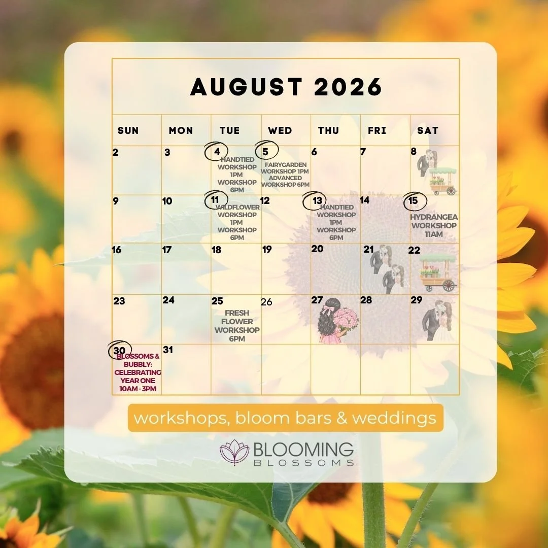 Blossoms, Bubbly, &amp; Big Milestones: Our August Studio Update