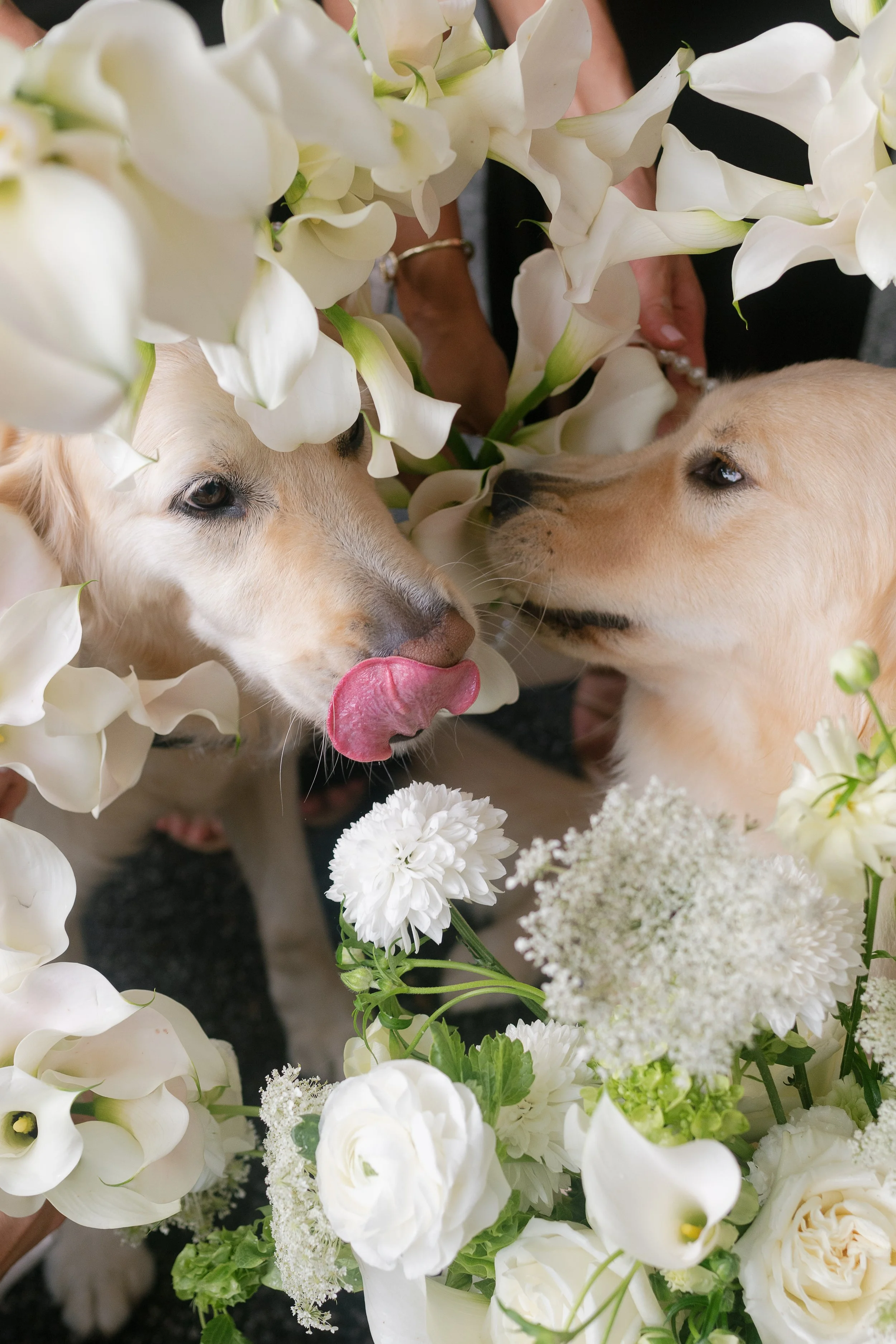 Johnson-Wedding-70.jpg