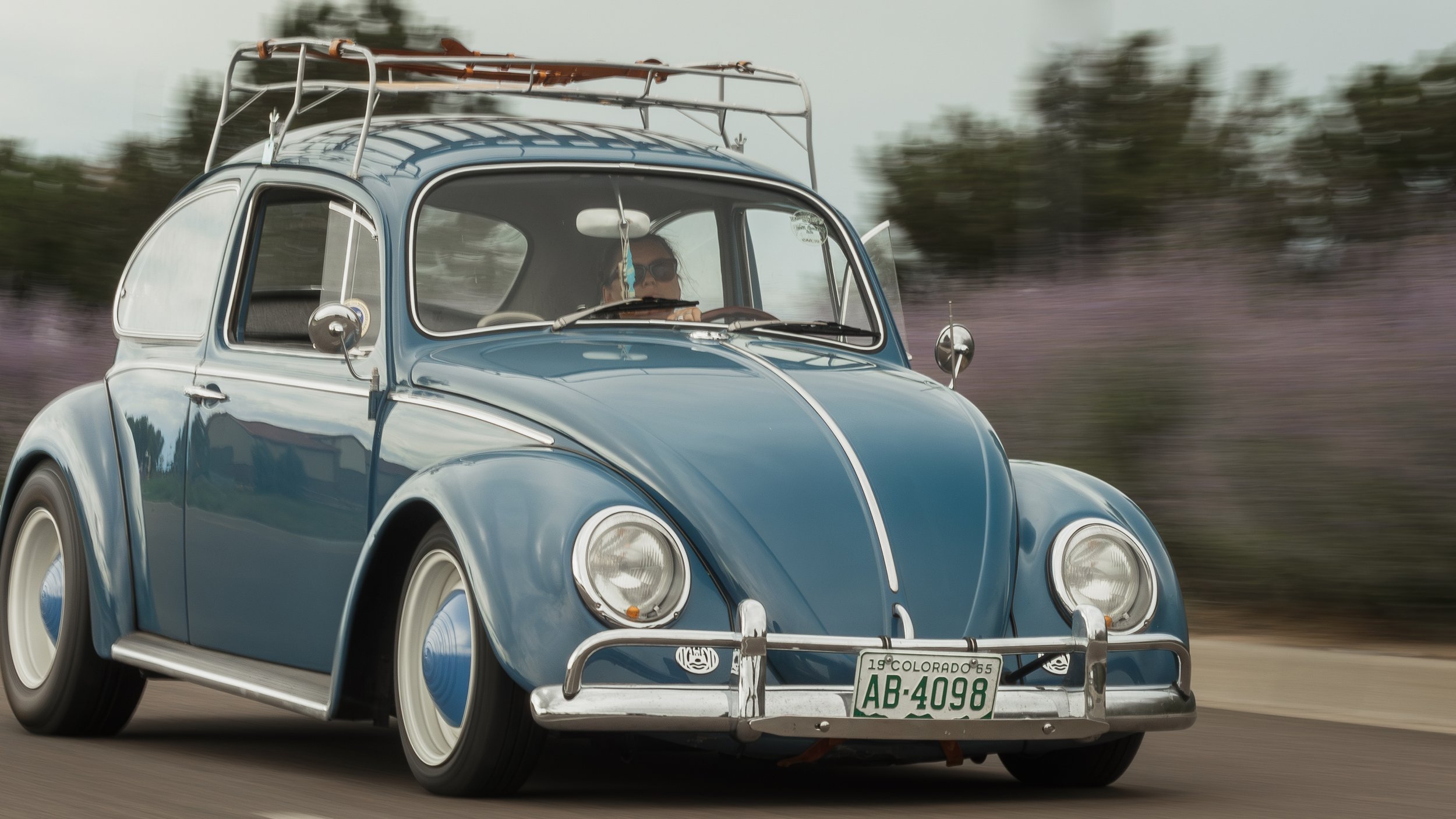 Stella Blue Roller.jpg