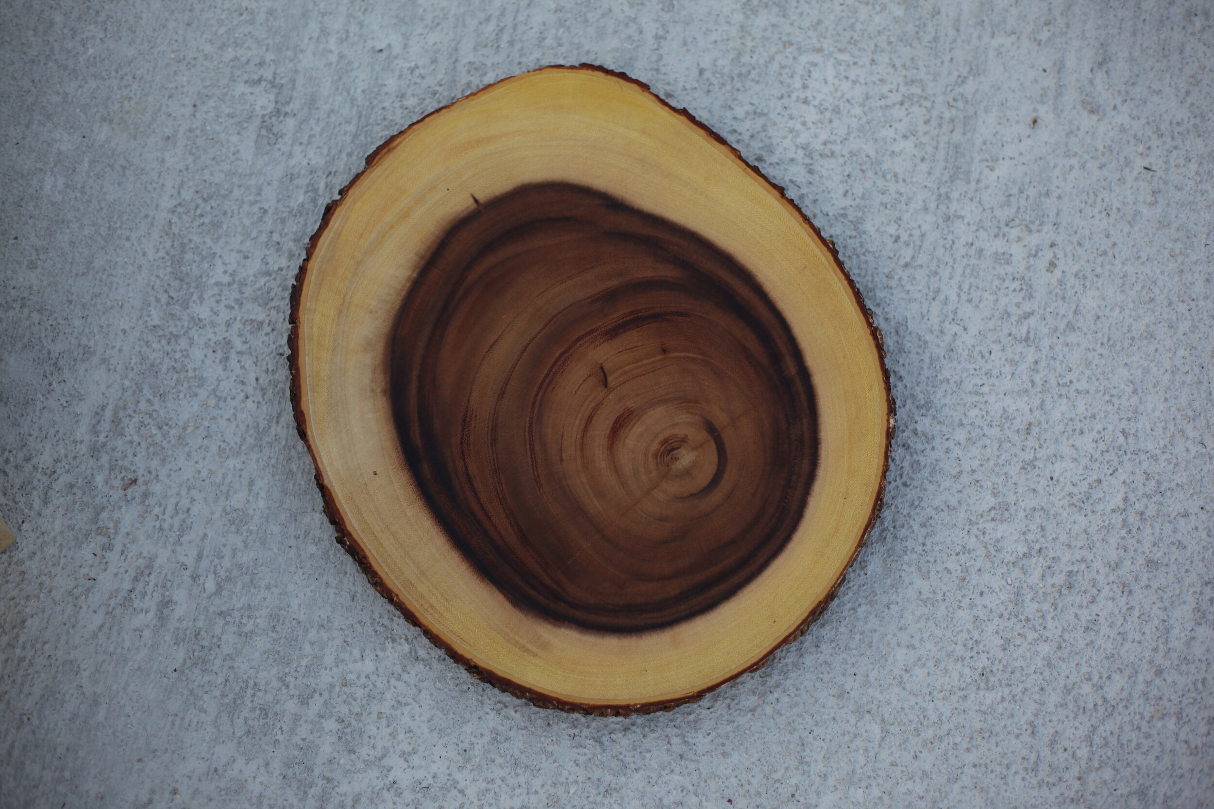 Wooden Stump