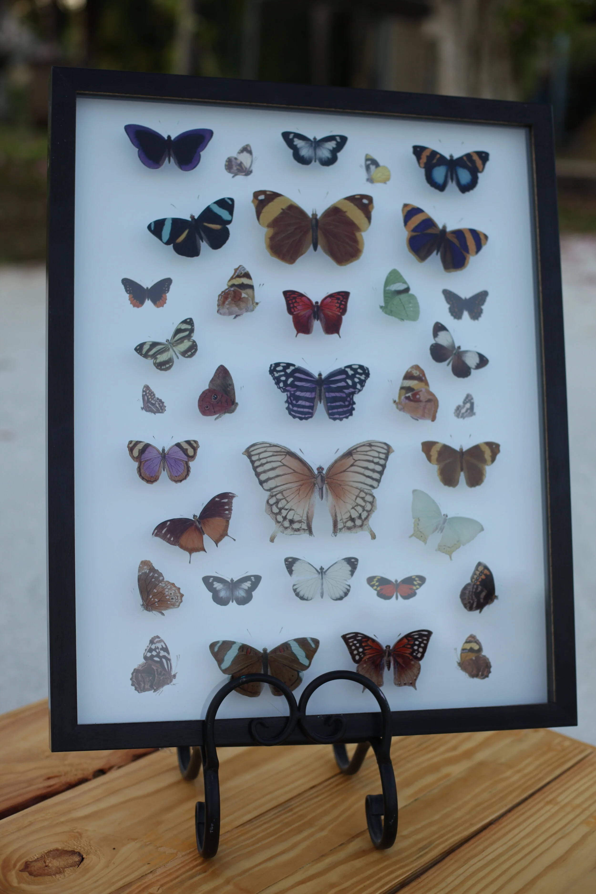 Ababang (Butterfly) Frame