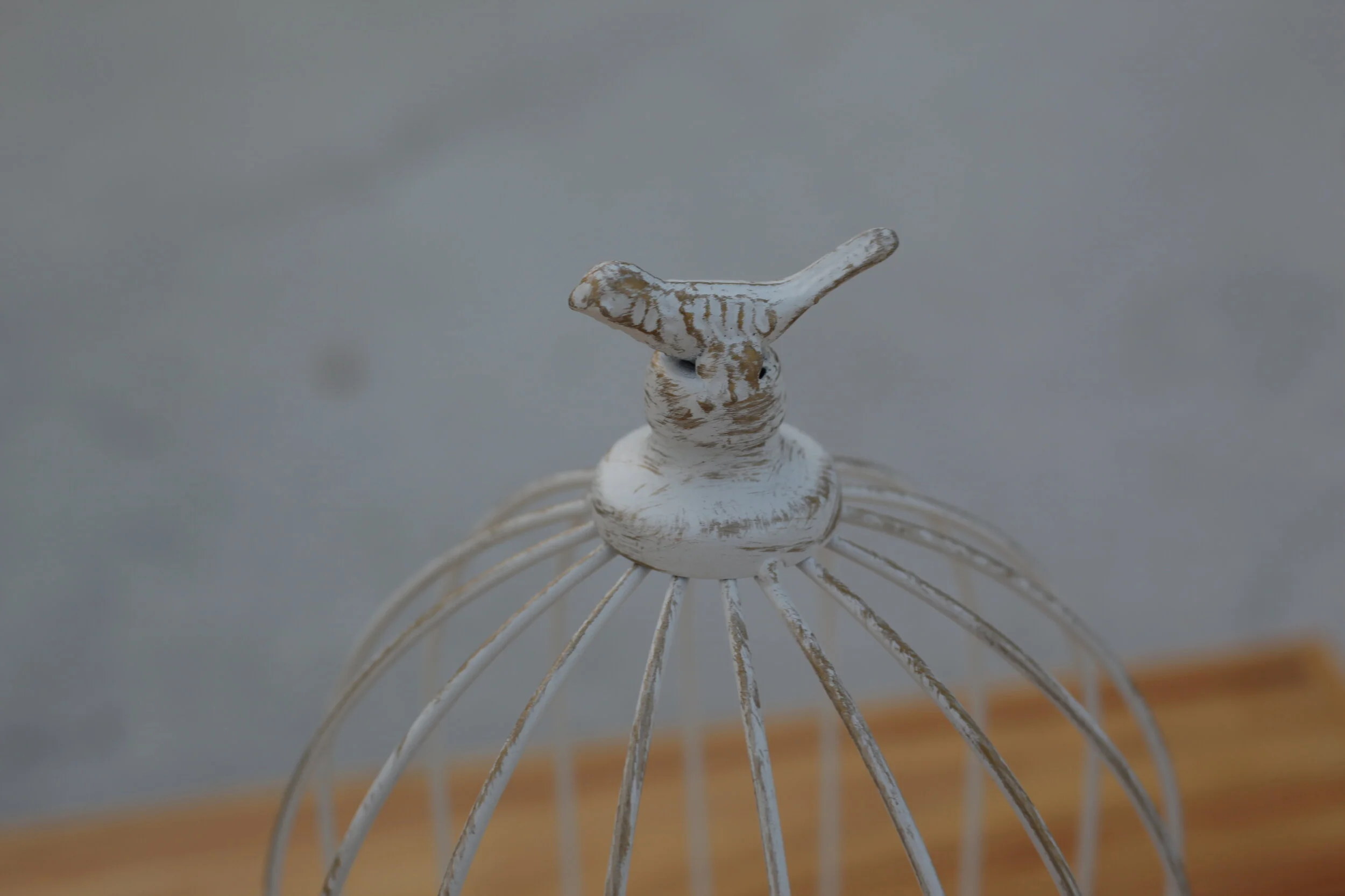 Bare Birdcage