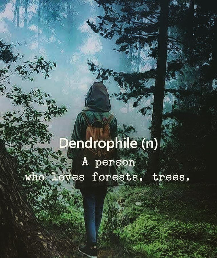 Calling all fellow #dendrophile !
Let&rsquo;s #forestbathe and appreciate how #natureheals us, and work how we can help to #healnature 
Next #foresttherapy session is here: 
https://events.humanitix.com/creative-forest-therapy-in-south-west-nature
Bo