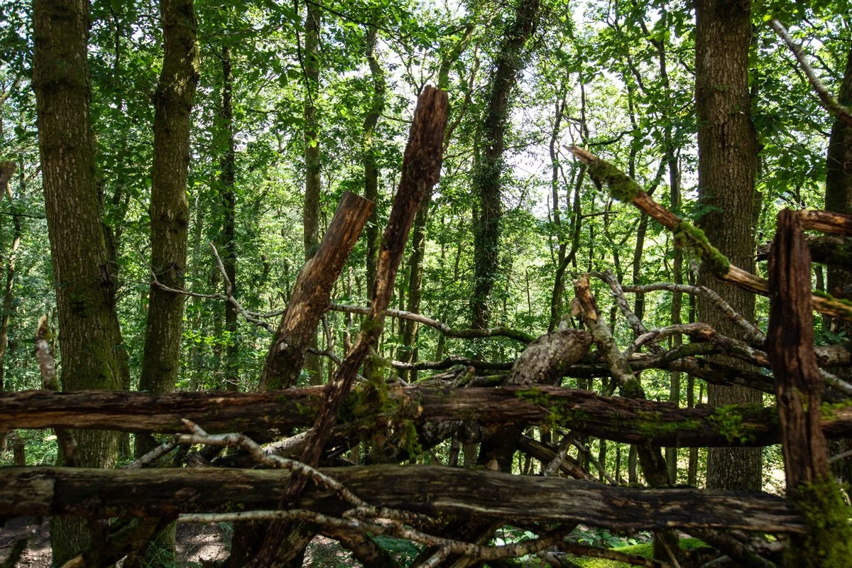 Log_Cabin_96.jpg
