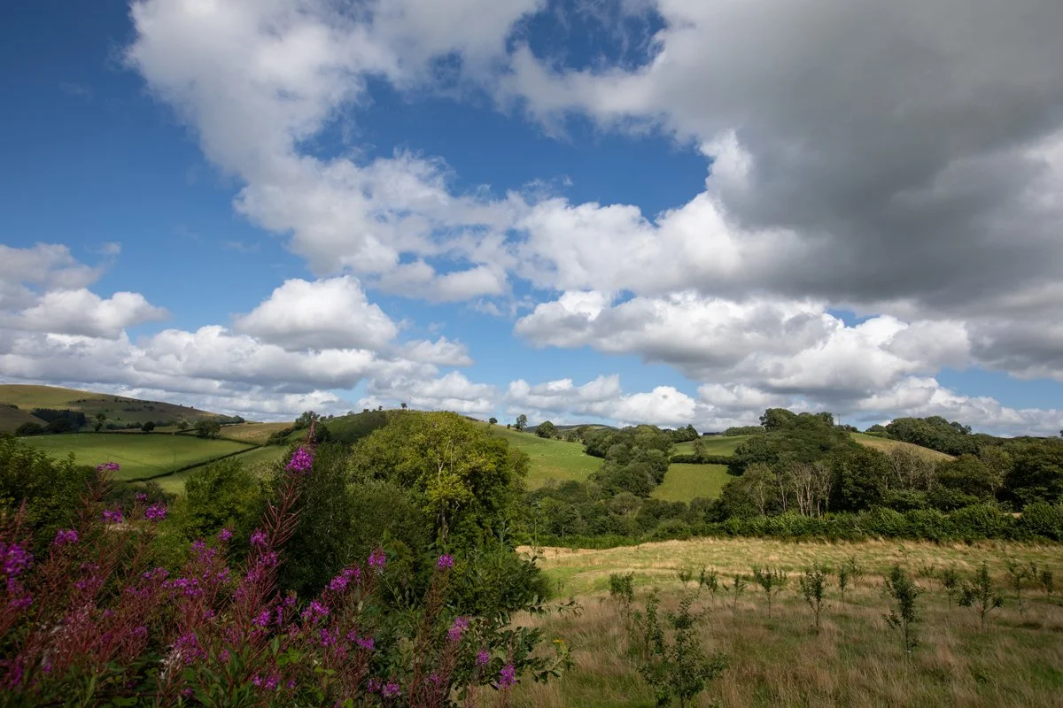 Llandovery_Landscape_02.jpg