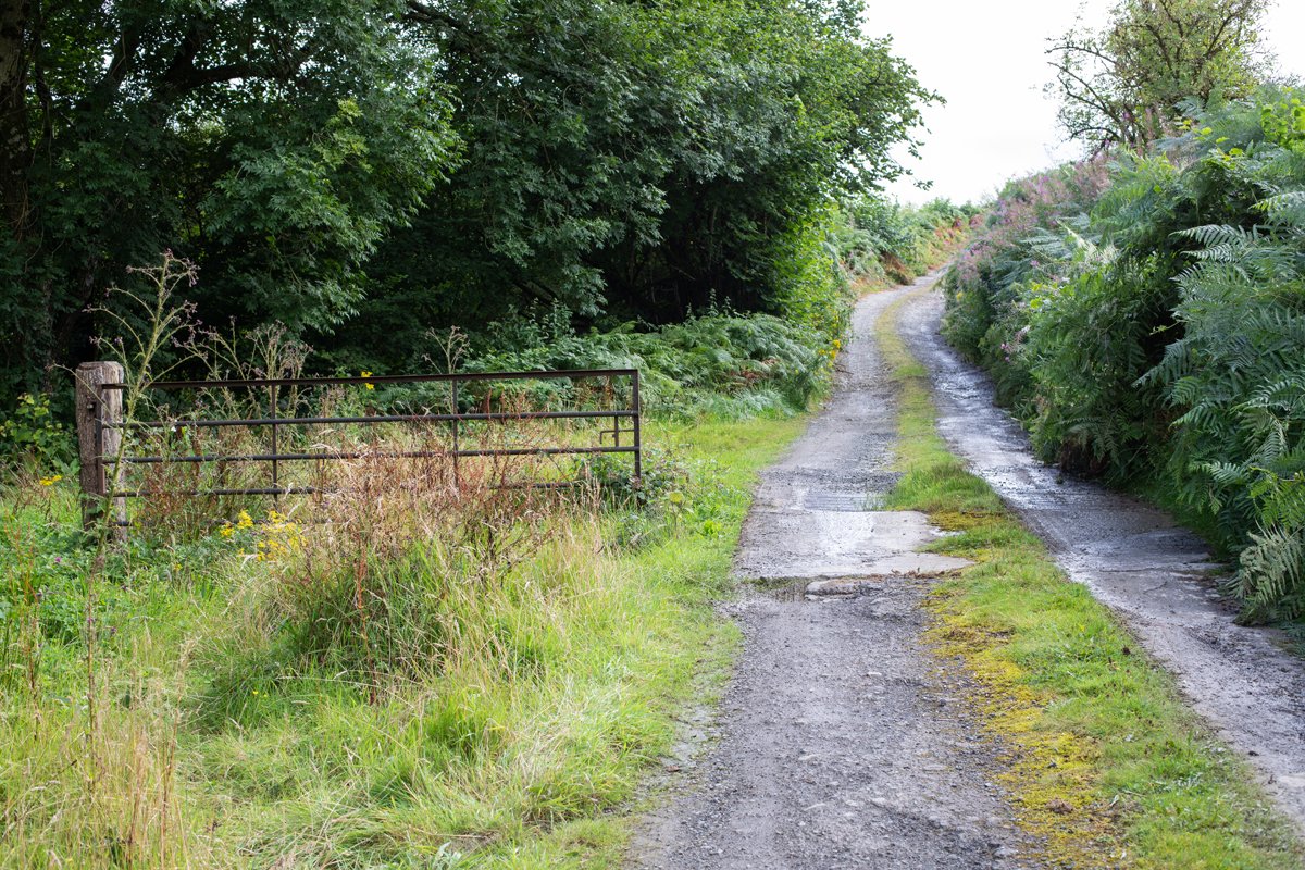 Llandovery_Landscape_49.jpg