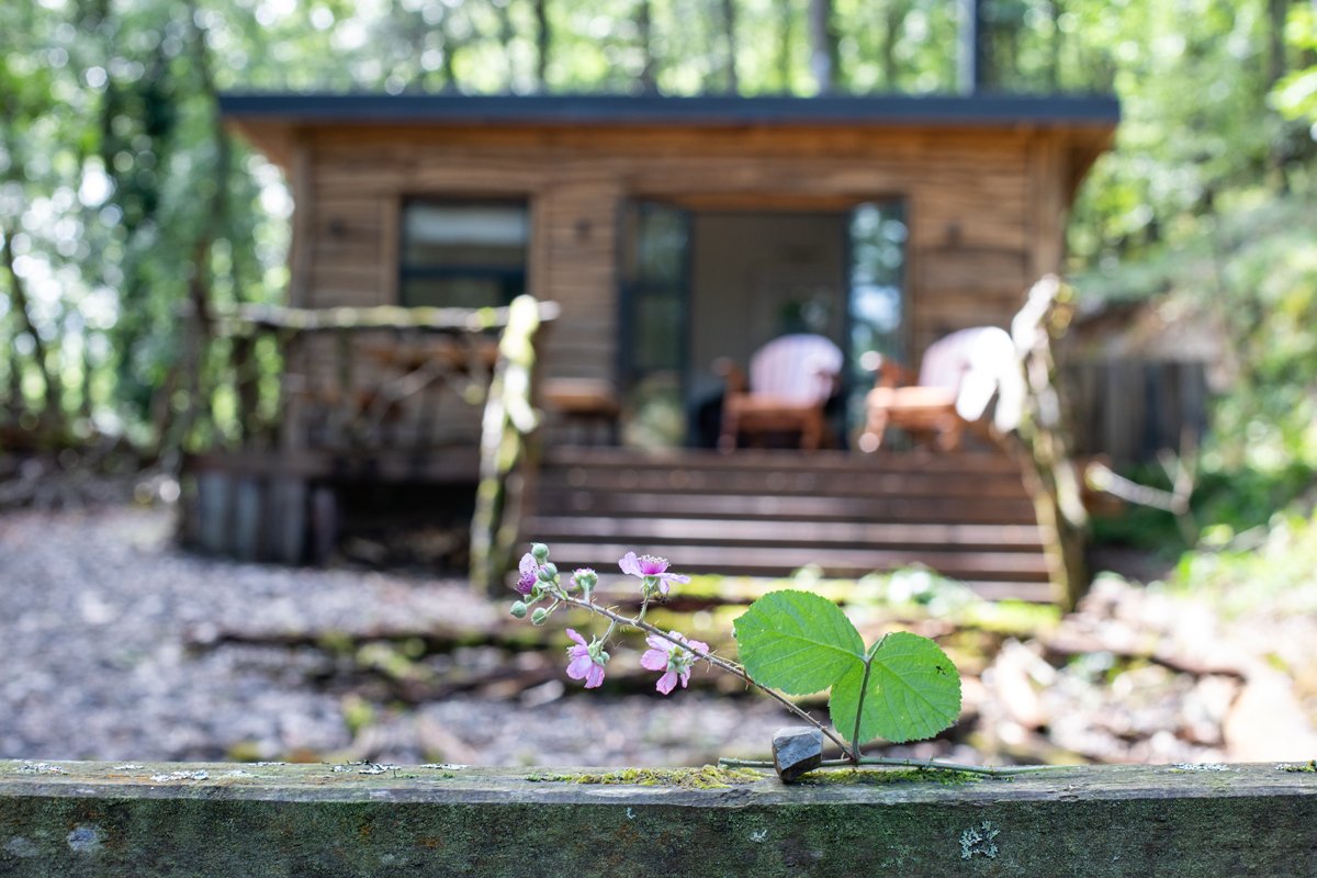 Log_Cabin_66.jpg