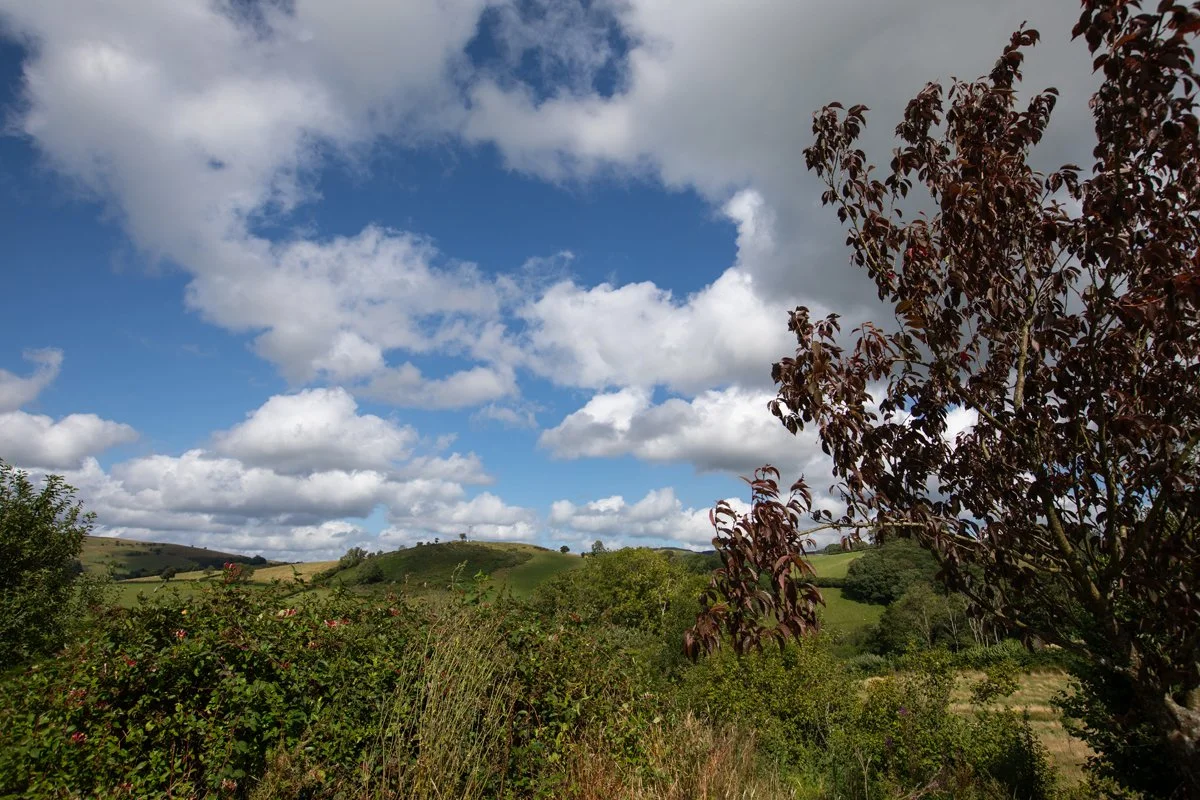 Llandovery_Landscape_01.jpg