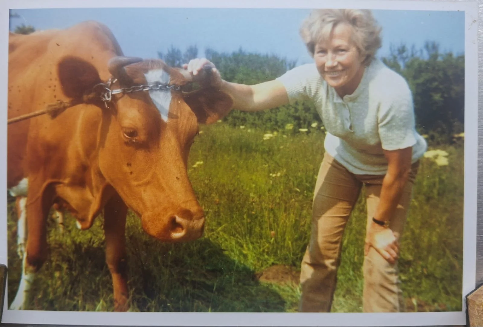 An Ode to Grandma. Thank you.