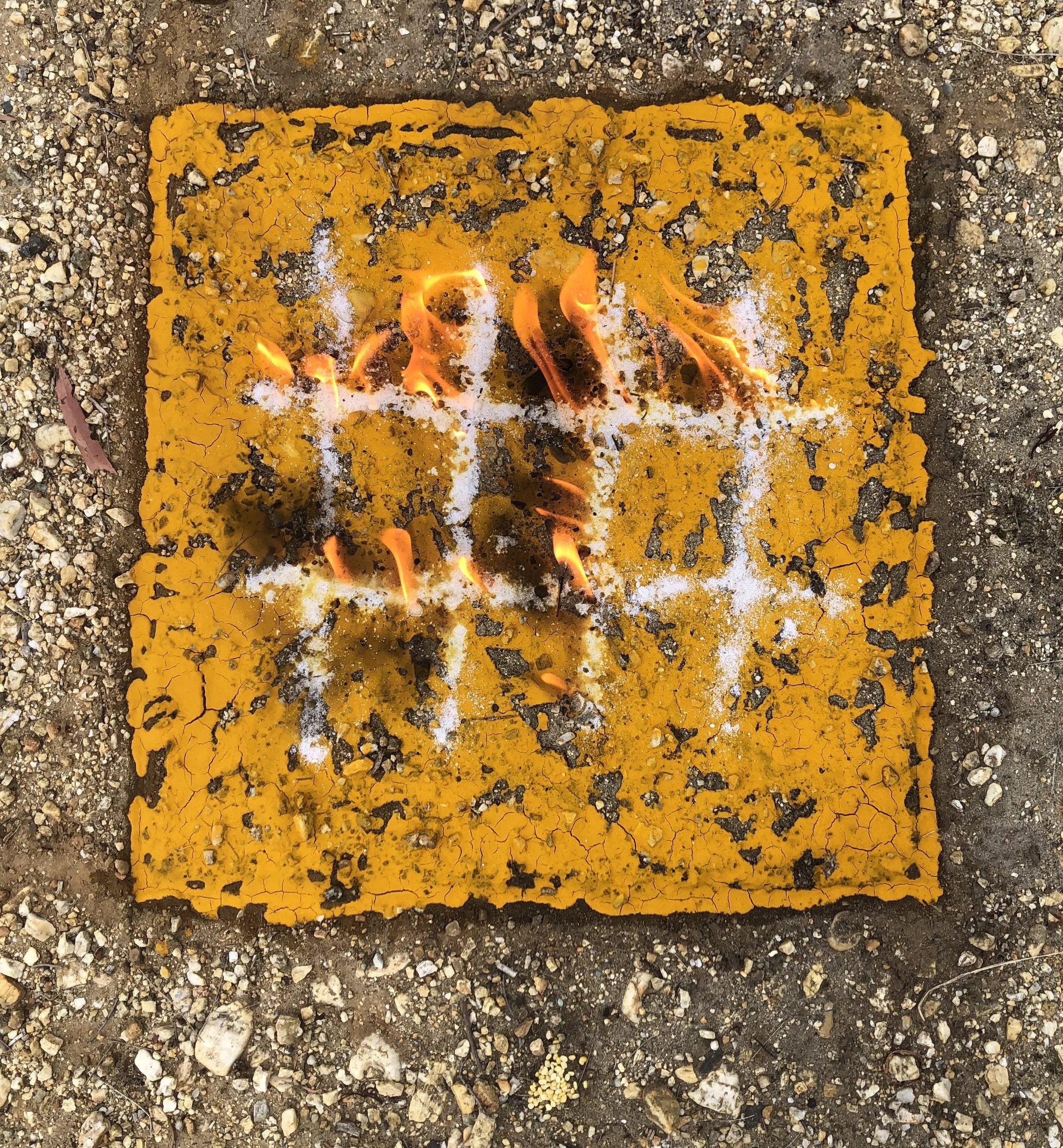 Figure 7_Purification of The Body Square 2.jpeg