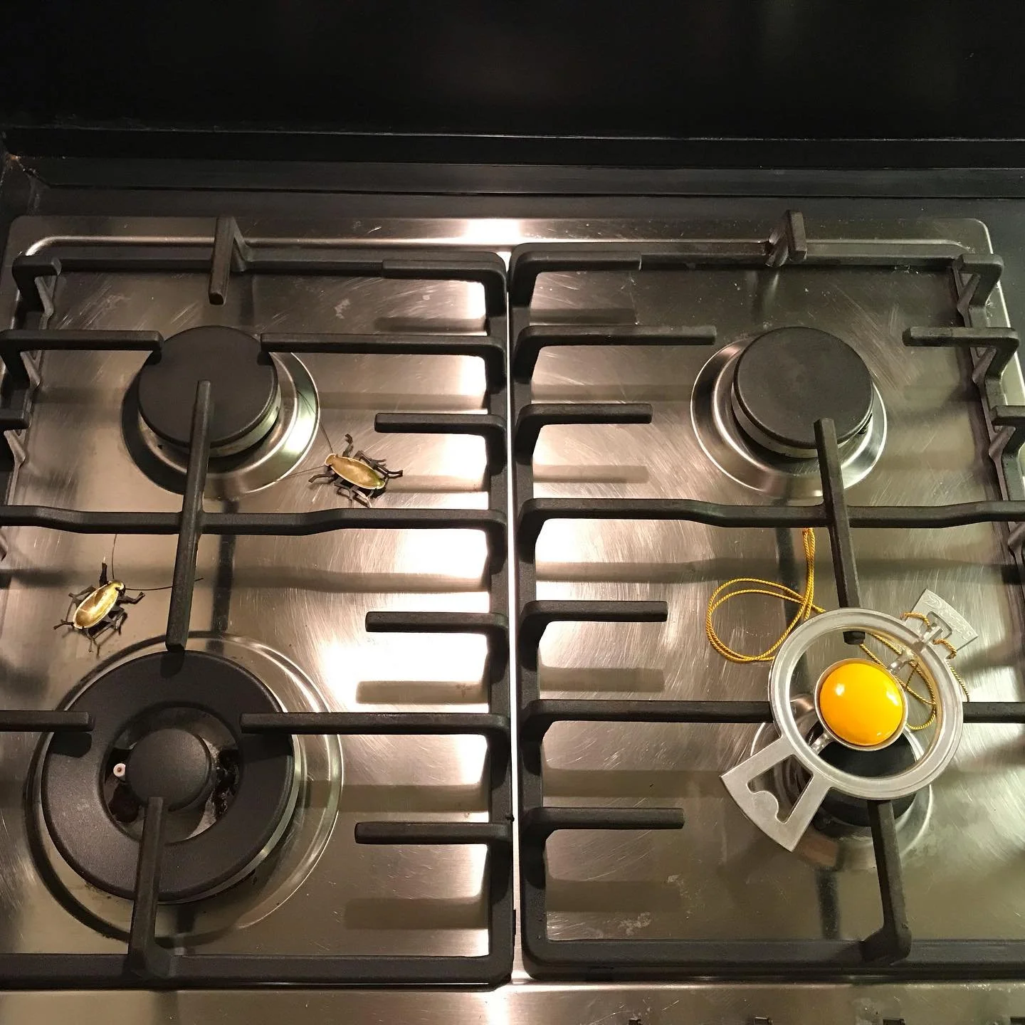 What a wonderful opening of FullHouse at @studio_wearhouse in Amsterdam during @obsessedwithjewellery festival! Thank you guys, you have created something really special 🥰🤗