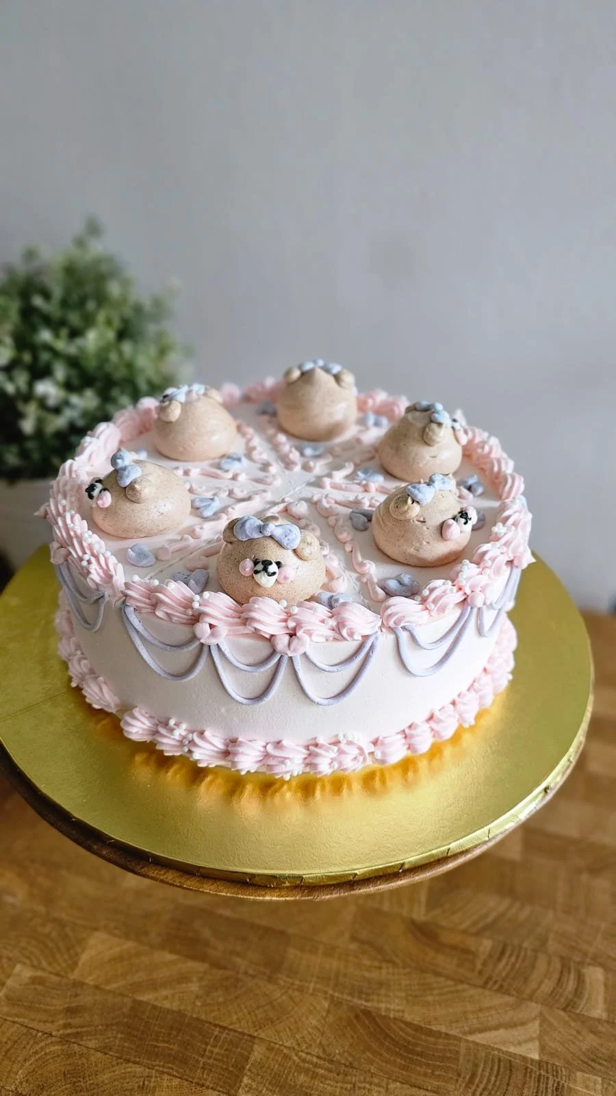 CGC CuteCakes Series - Teddy Frills