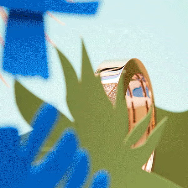 RC_pelican.gif