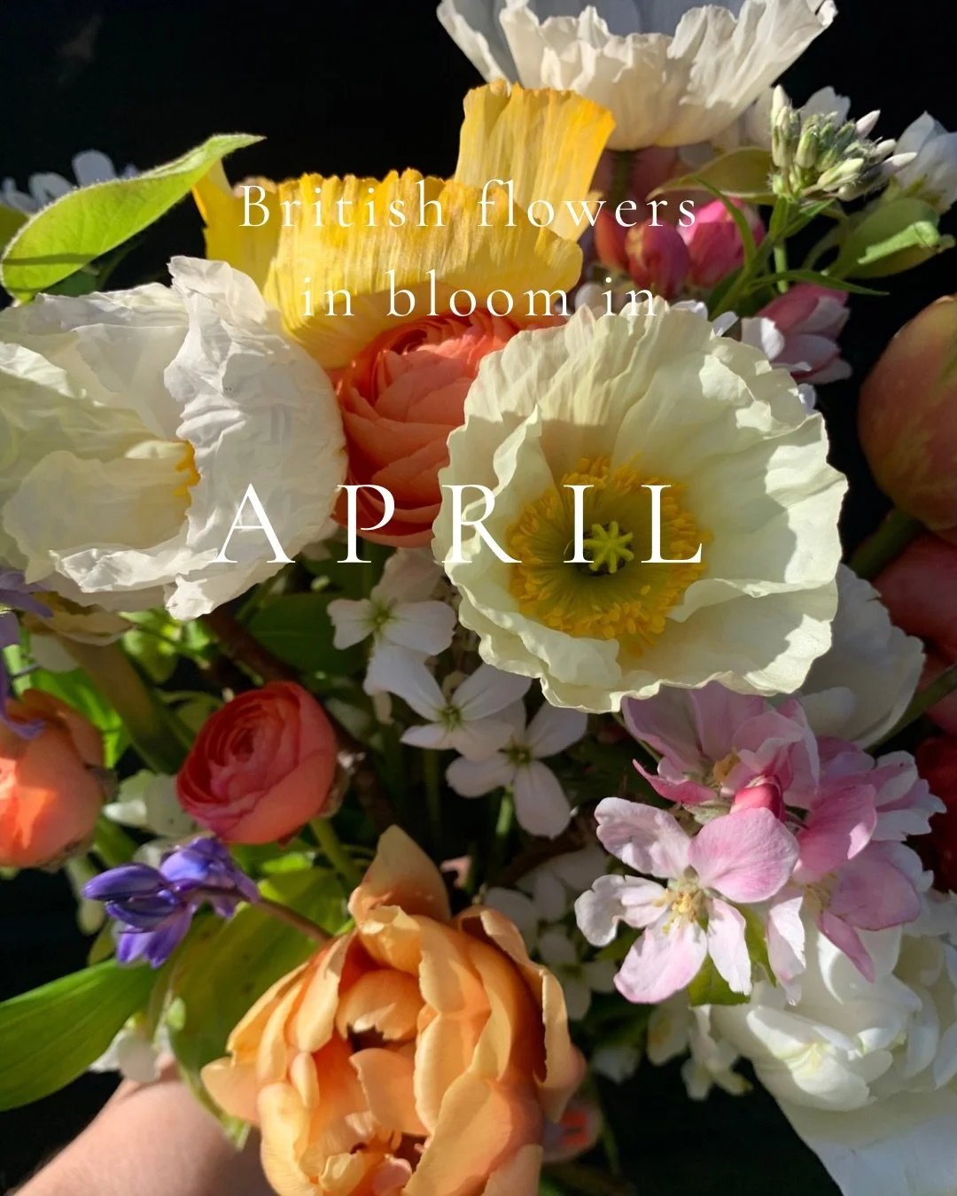 Oh April, month of blossom, ruffles and bulbs. All the energy that has been held captive over the winter months wells up in a joyous explosion of blooms.  April brides really do have a lot of beauty to choose from. 

April British flowers in bloom 
A