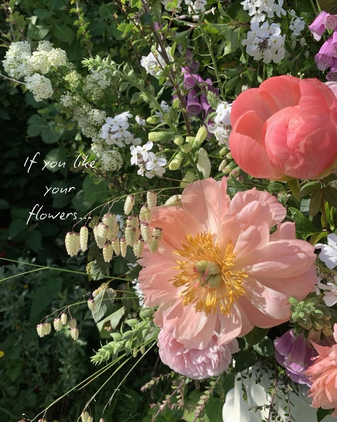 If natural seasonal floristry sounds like your cup of tea I&rsquo;d love to chat flowers with you

Enquire via my website to start the conversation 

Devon wedding florist 
Garden inspired floristry 
Season led flowers