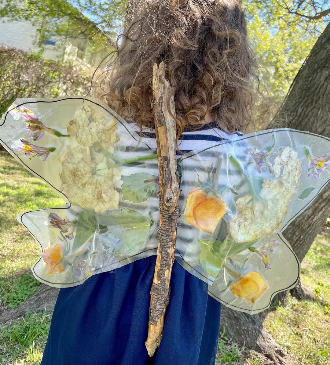 Nature Wings 🦋✨