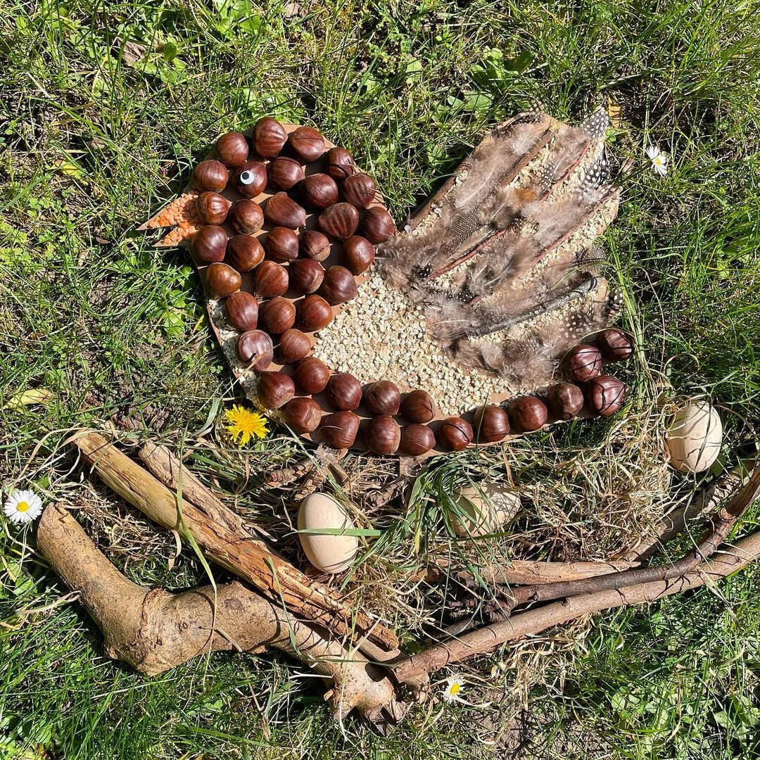 Nature Bird Collage 🕊