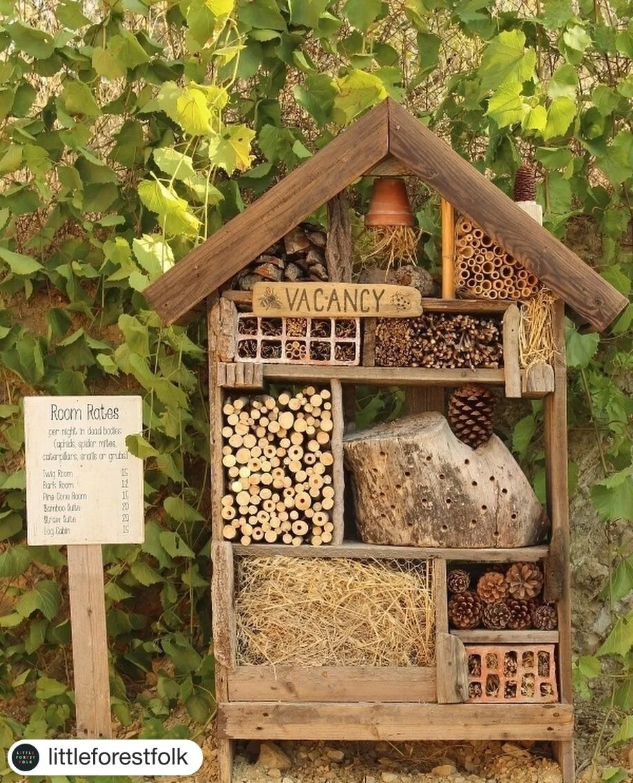 The Bee Hotel 🐝