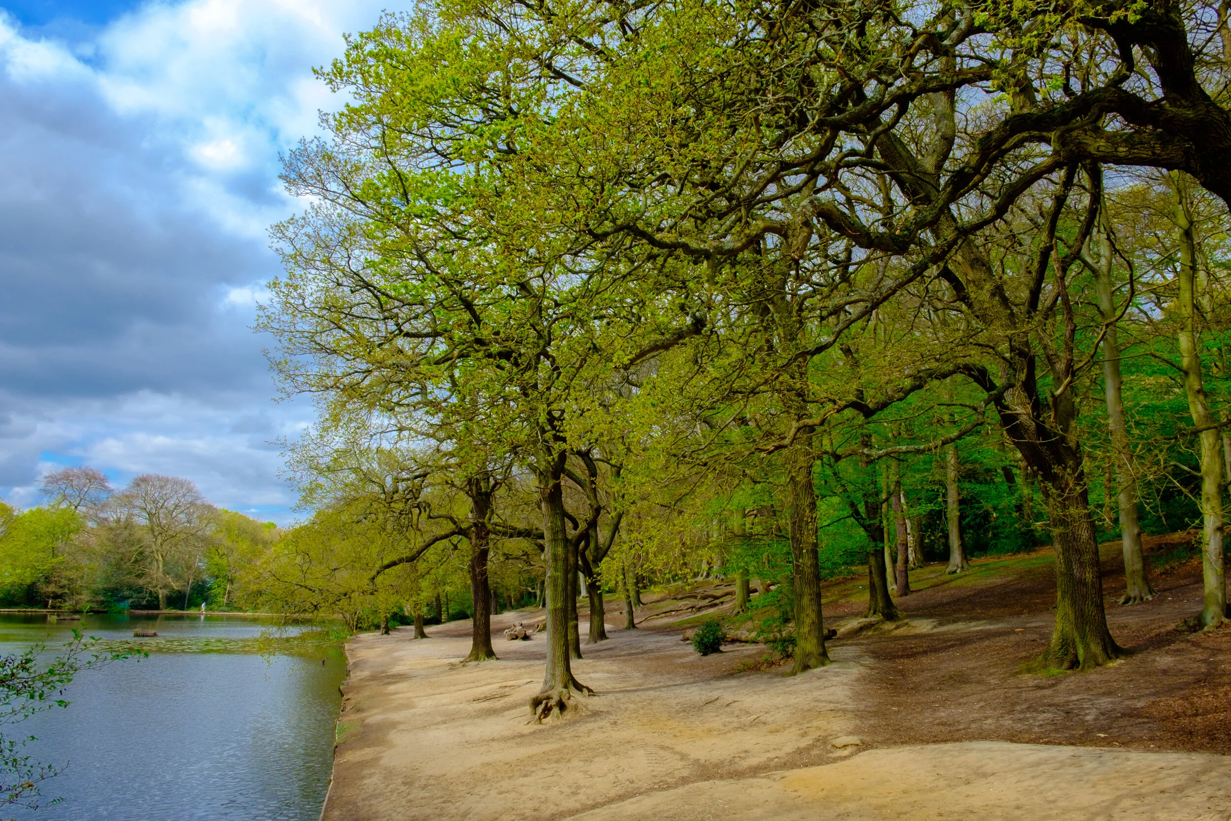 Treasure Trail