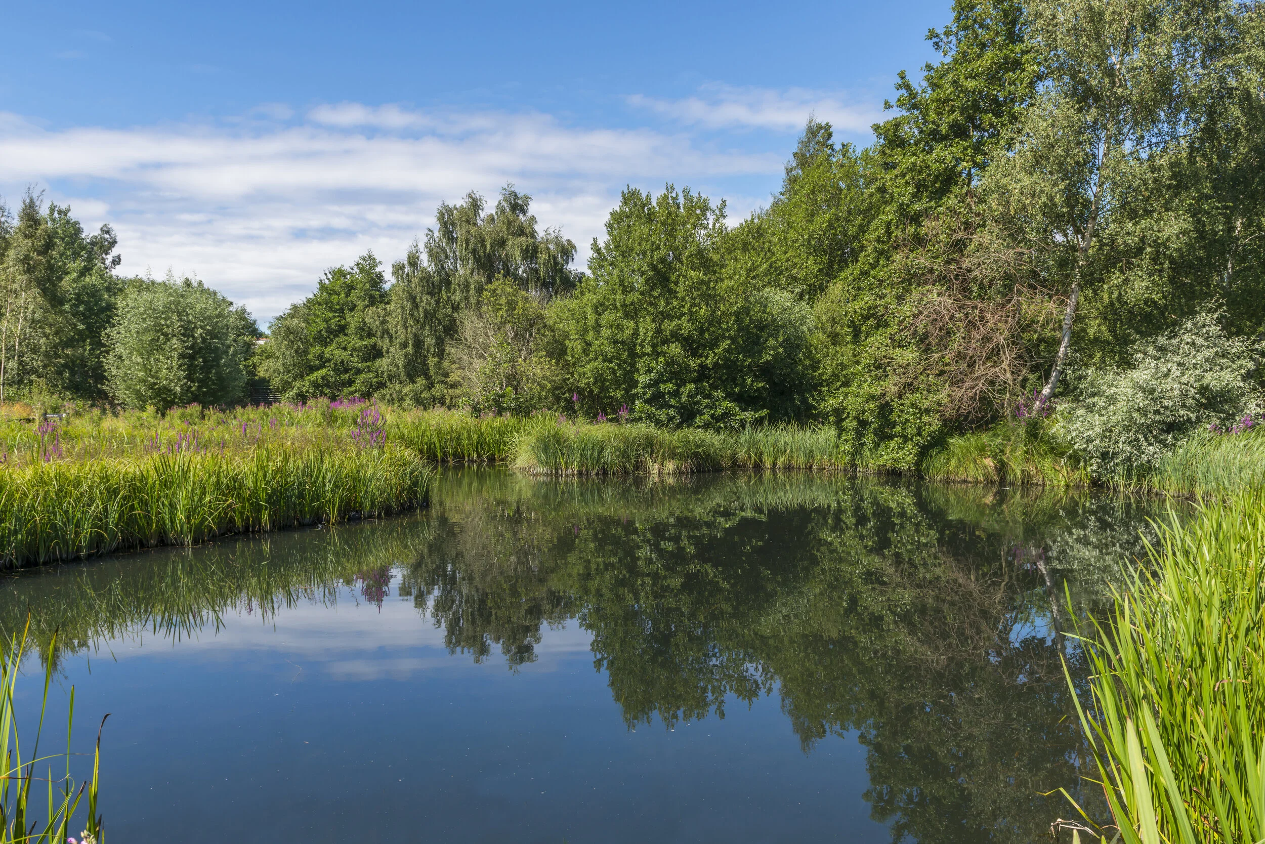 Wetland Centre