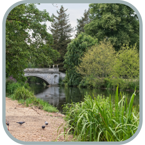 Chiswick Gardens 1.png
