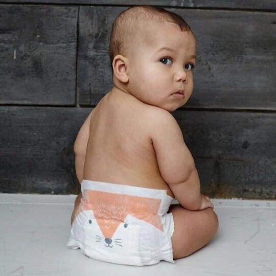 eco-nappies-designs-fox_540x.jpeg