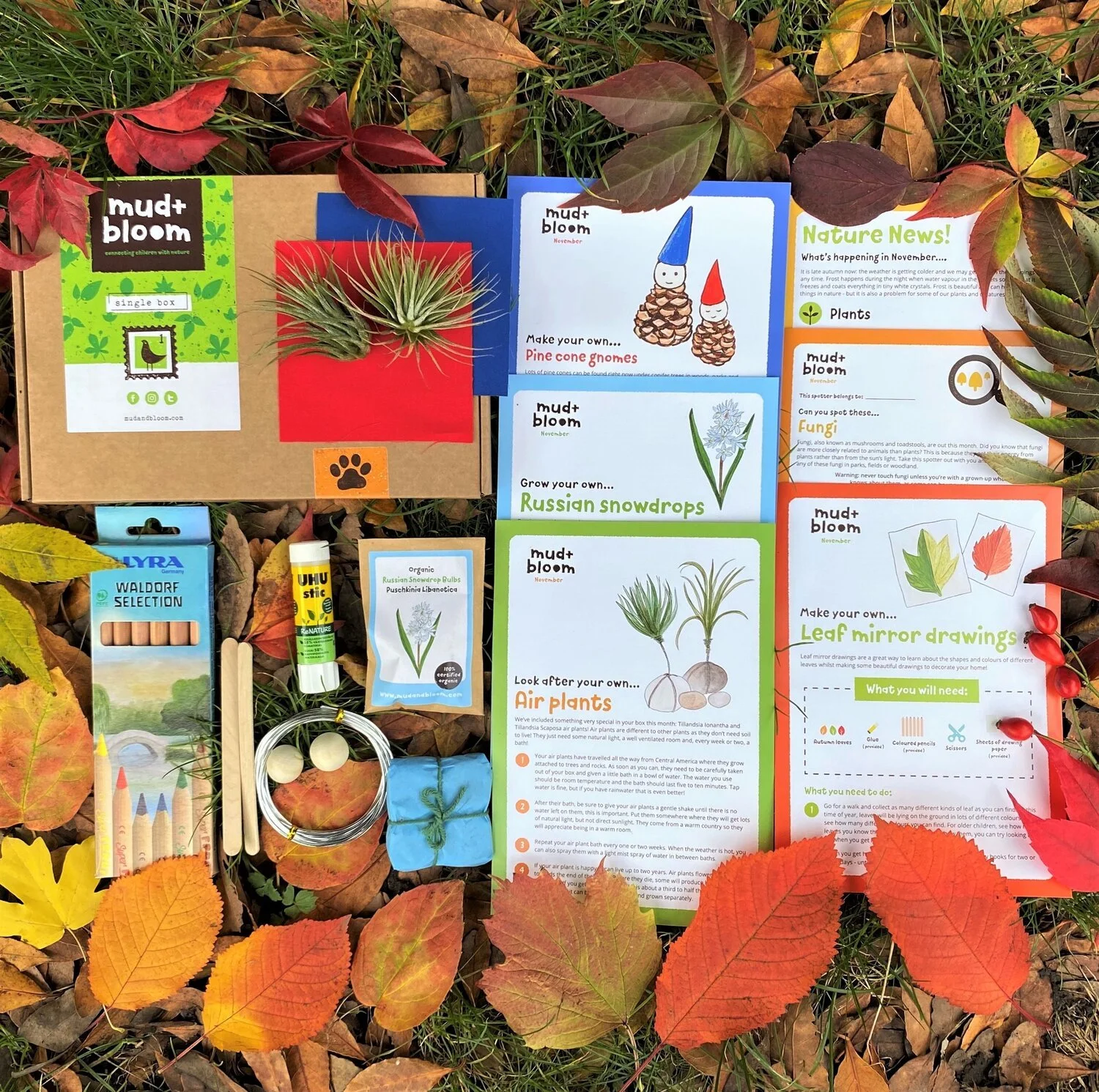 Mud and bloom 1.jpeg