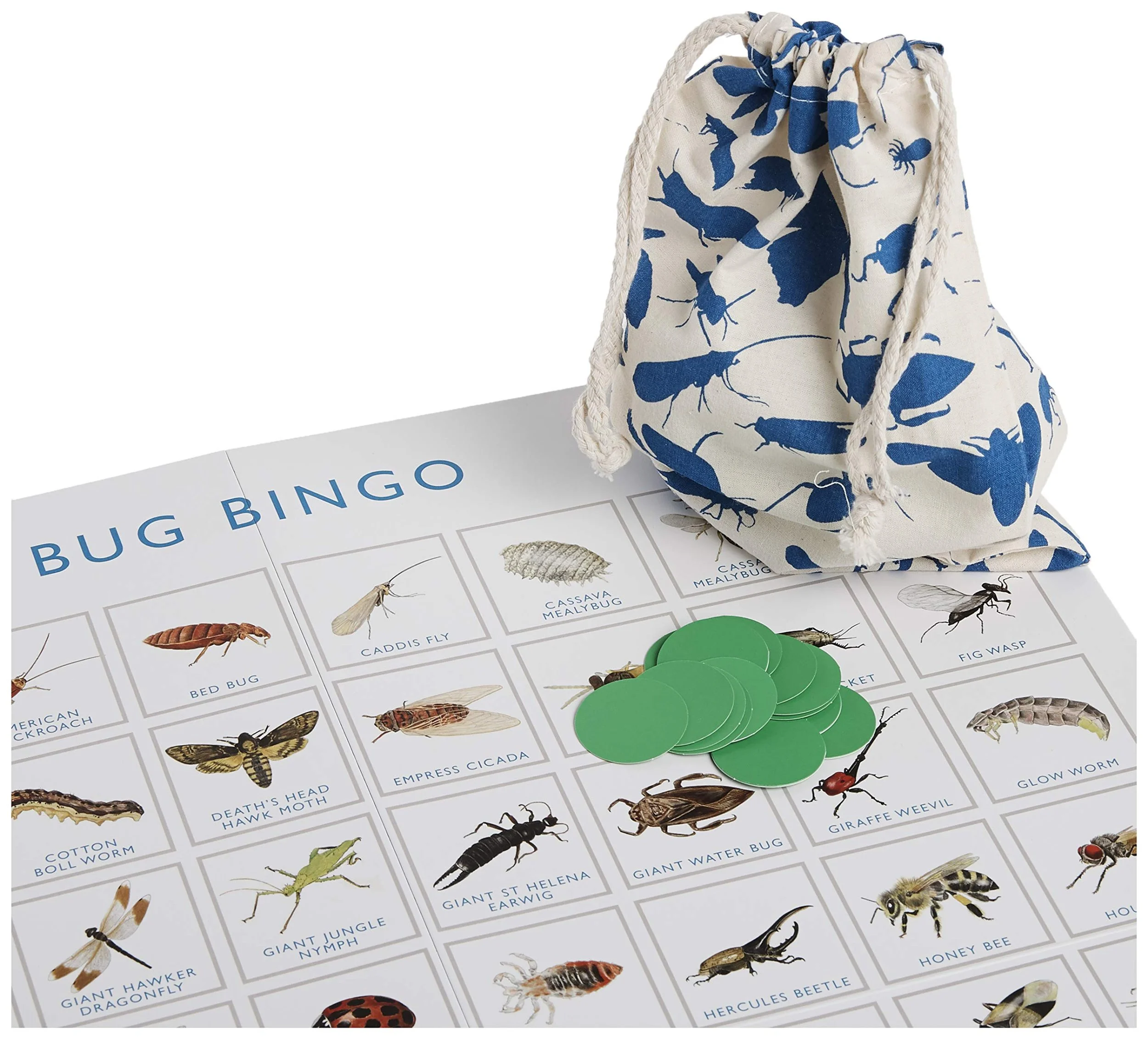 Bug bingo.jpeg
