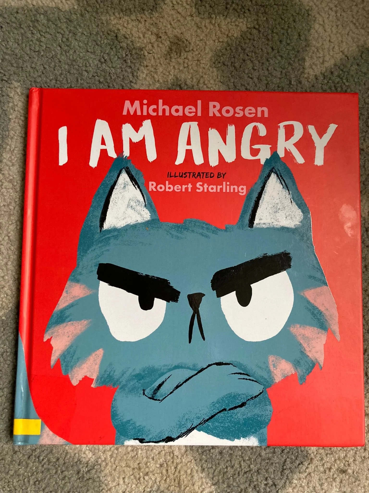 I am Angry - Favourite books.jpeg
