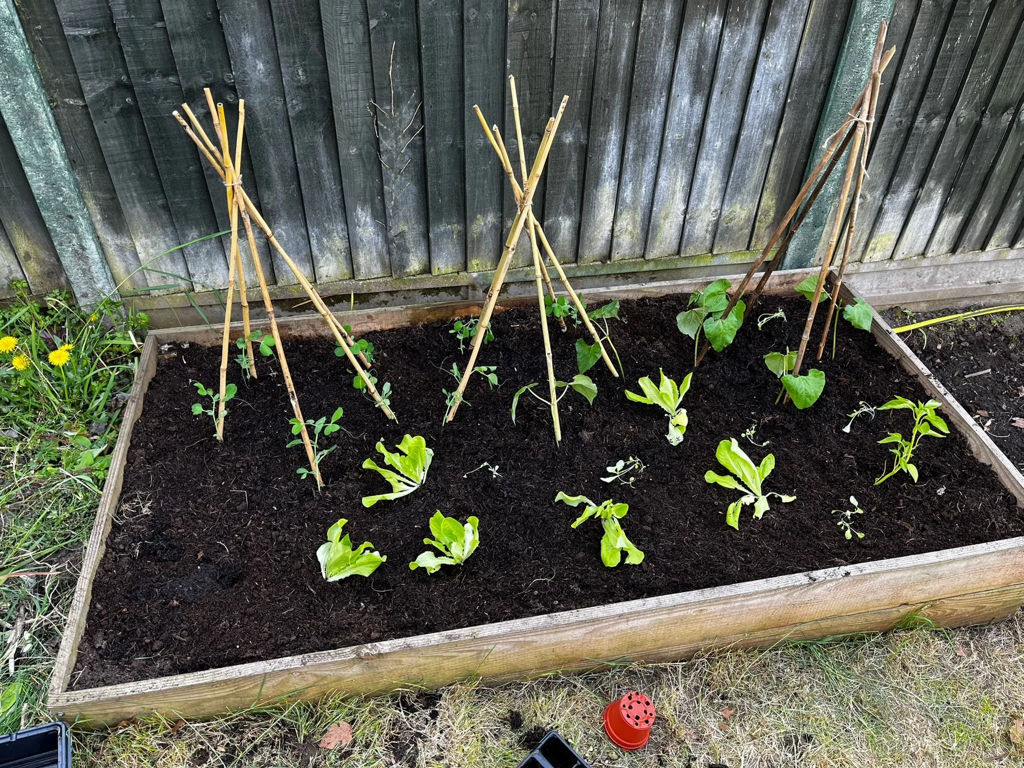 ace513d8-0ab6-4162-9bf6-db5ab8e778c5 3.JPG