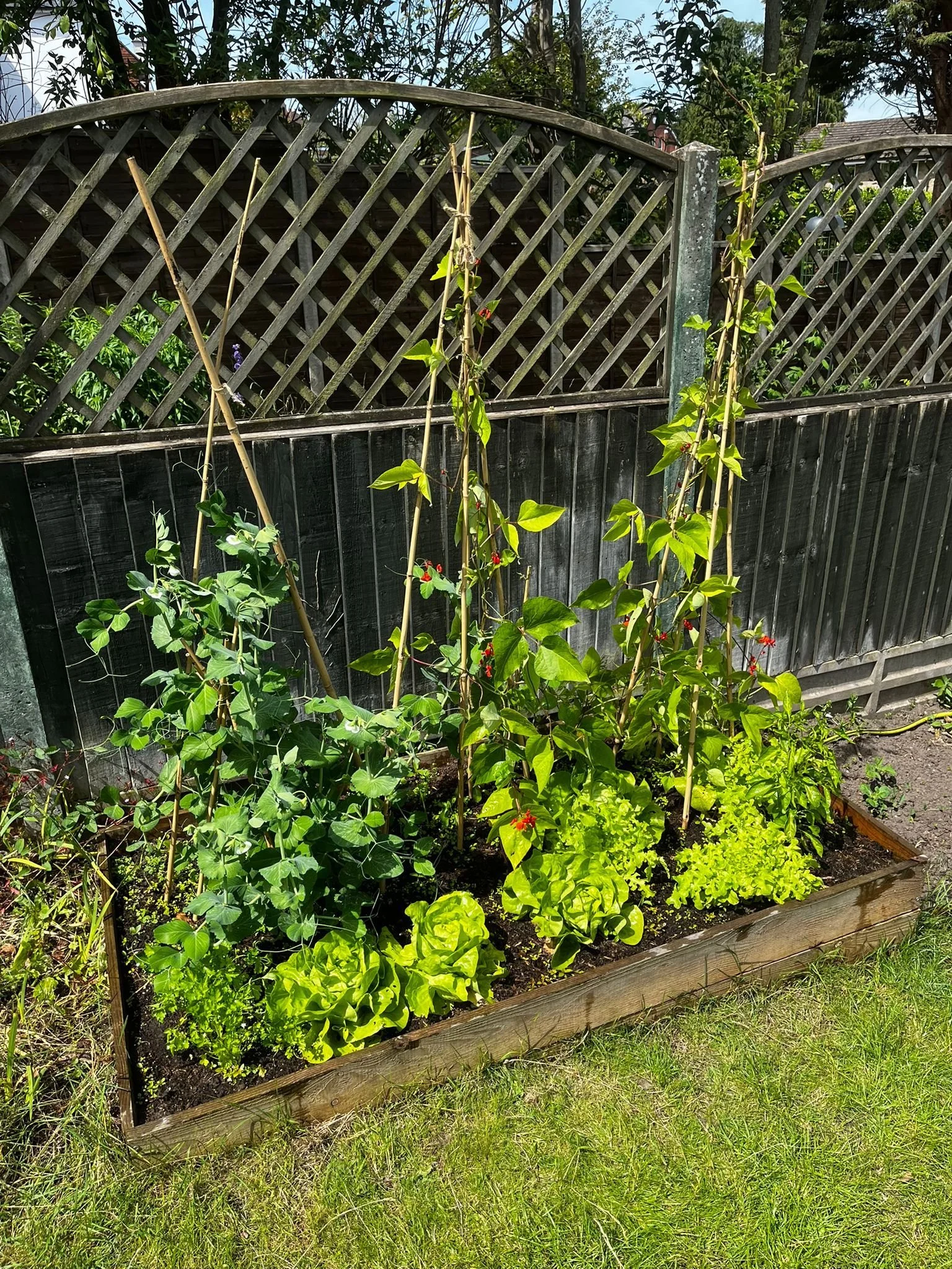 fc20c9a4-bd94-4380-8d2b-1f23c2408a87 3.JPG