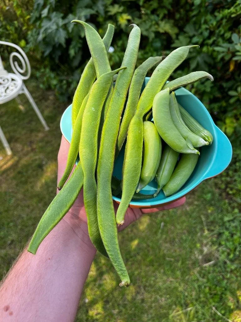 f78dc6d5-1af6-47dc-9c46-9da3124f5173 2.JPG