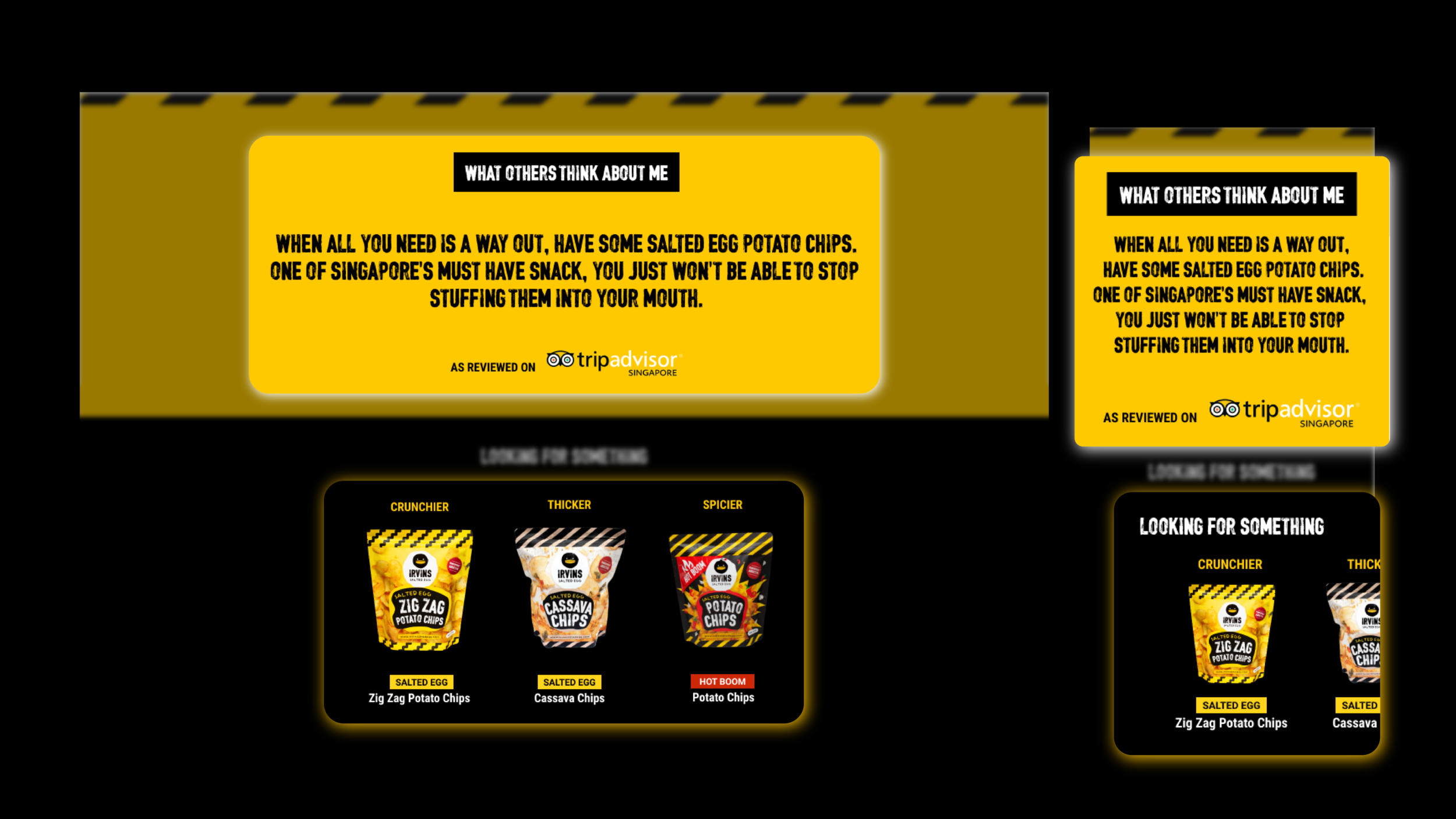 Ecom-proposed-drafted designsl-IRVINS-04.png