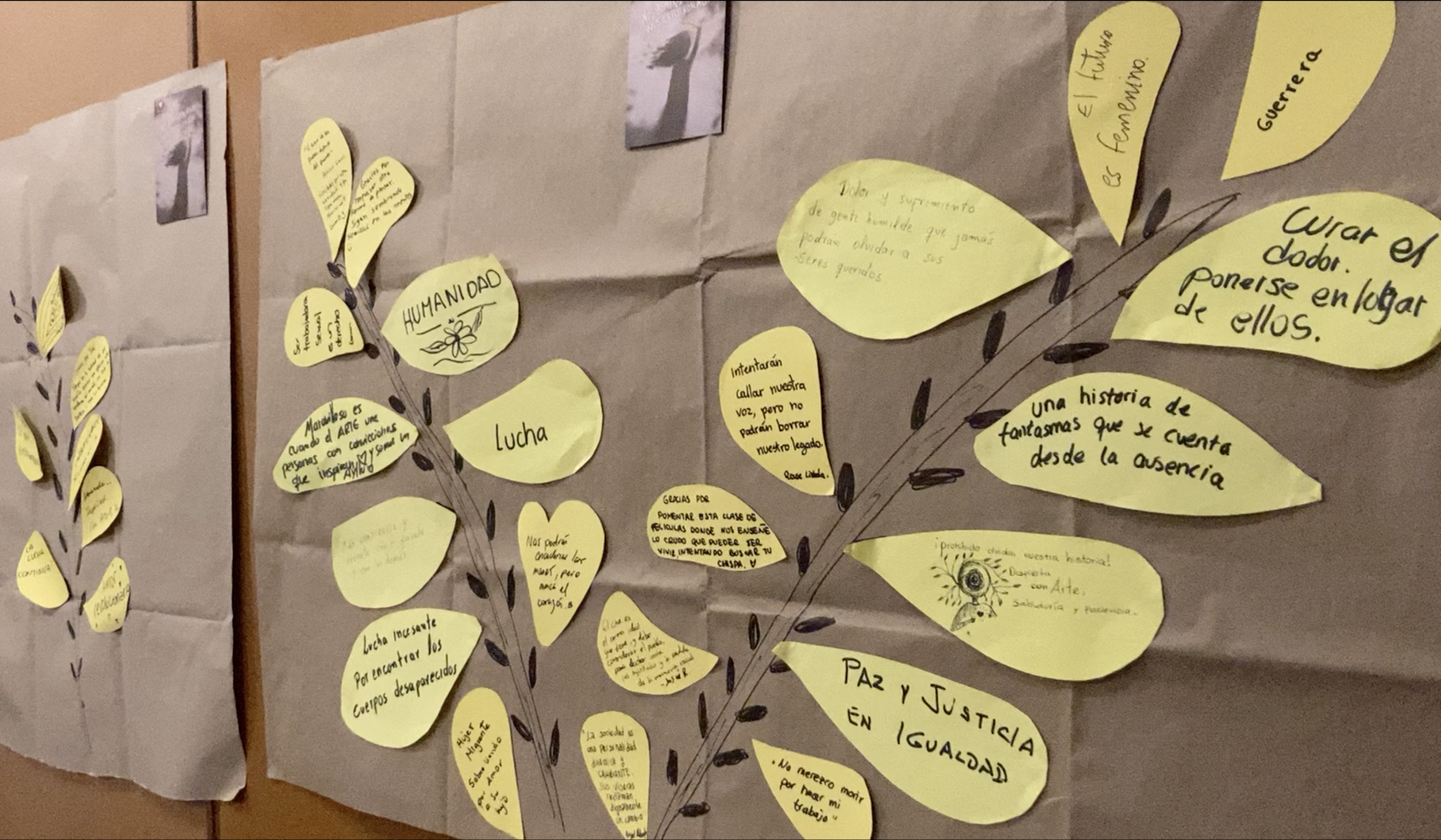 13_Feedback tree in Chiclayo.png