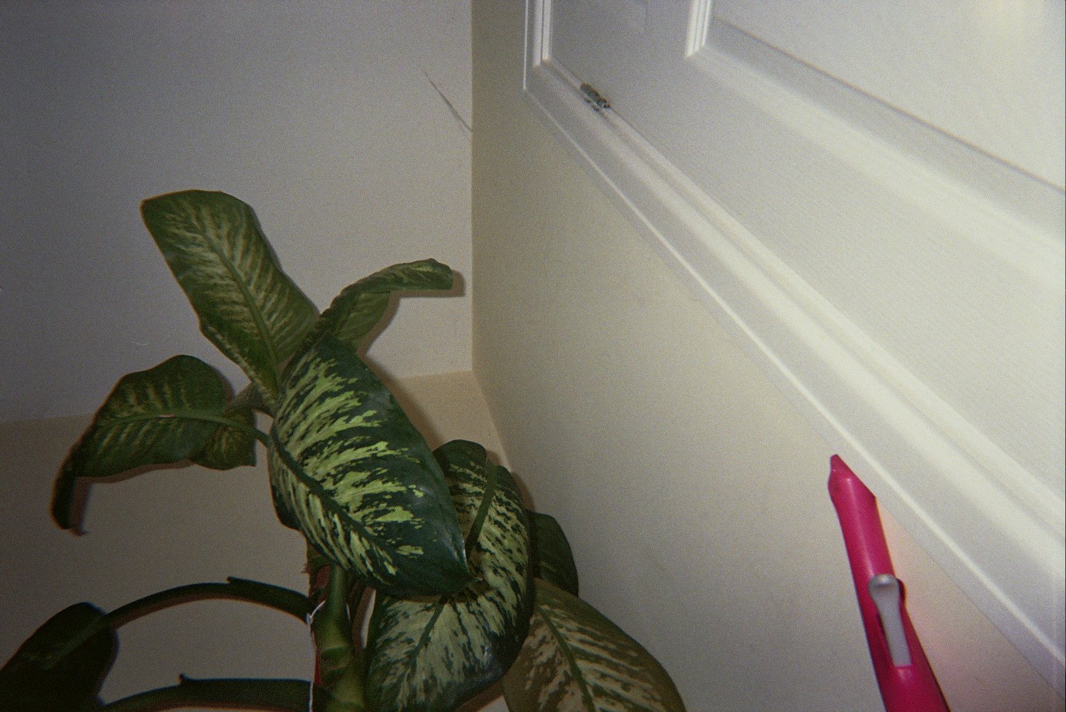 22A_0800.jpg