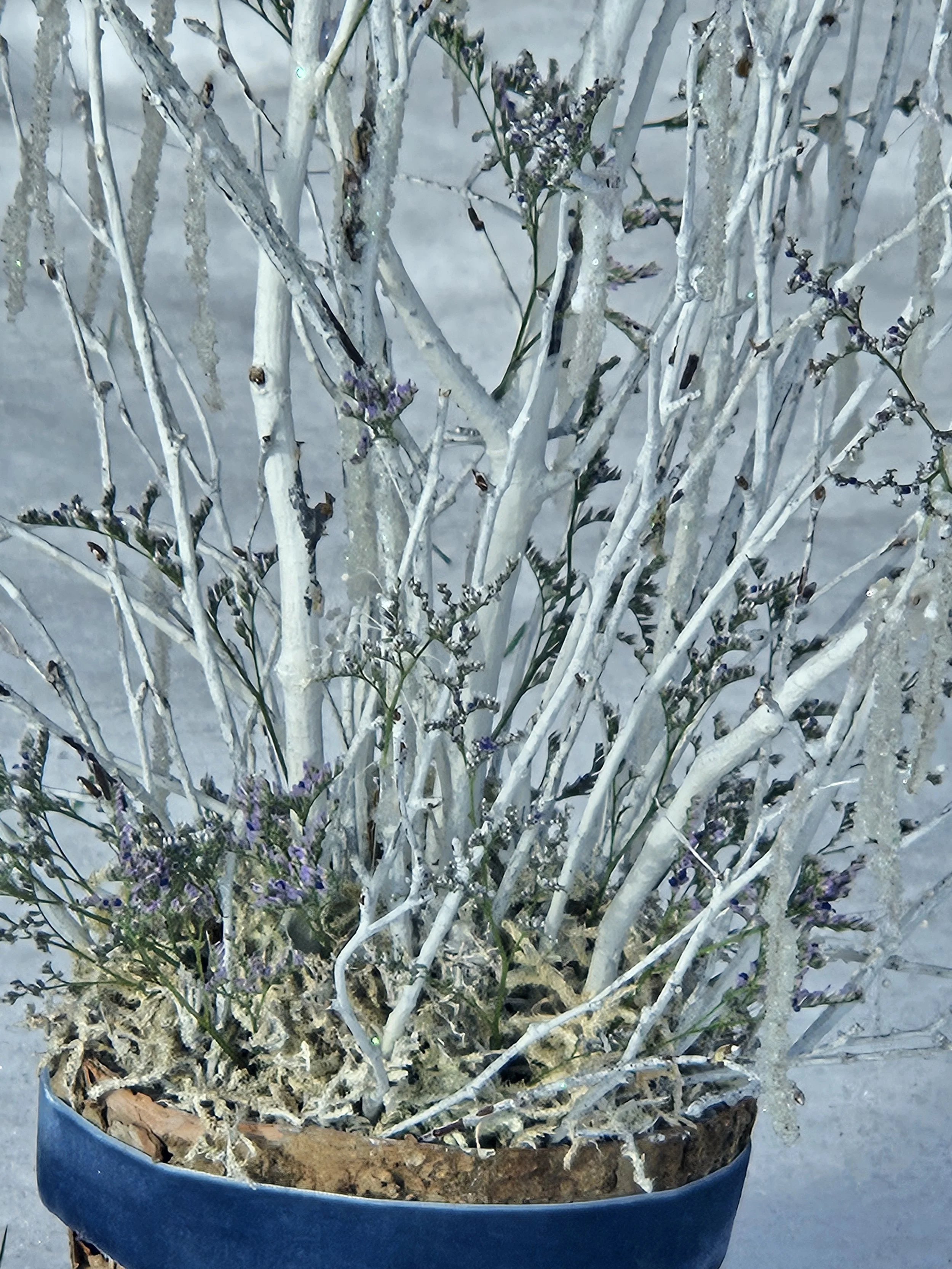1000020415.jpg