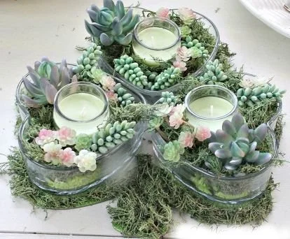 St Pattys Succulent Arrangement.jpg