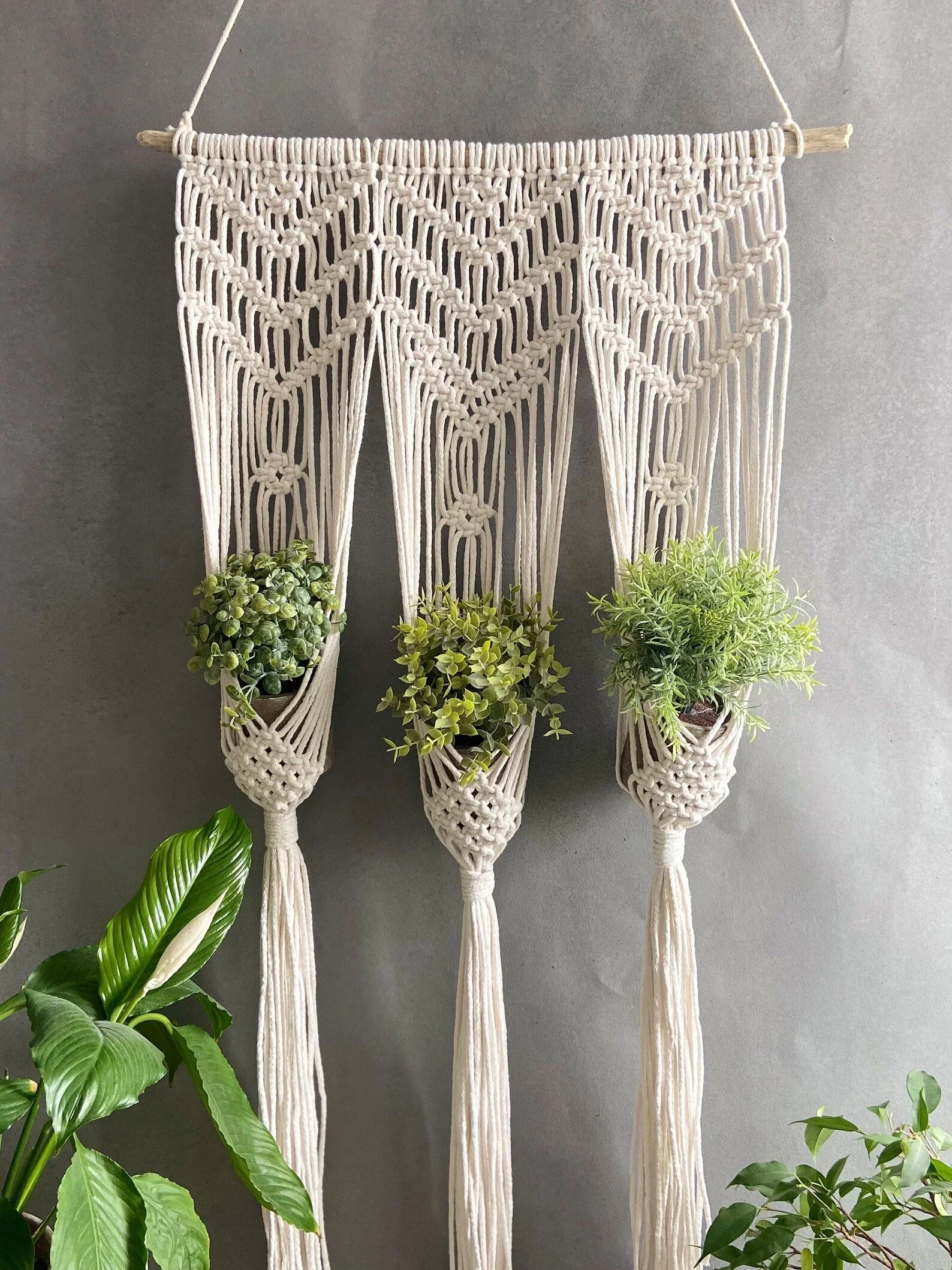 Macrame Plant Hanger