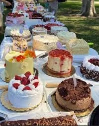 cake picnic 1.jpg