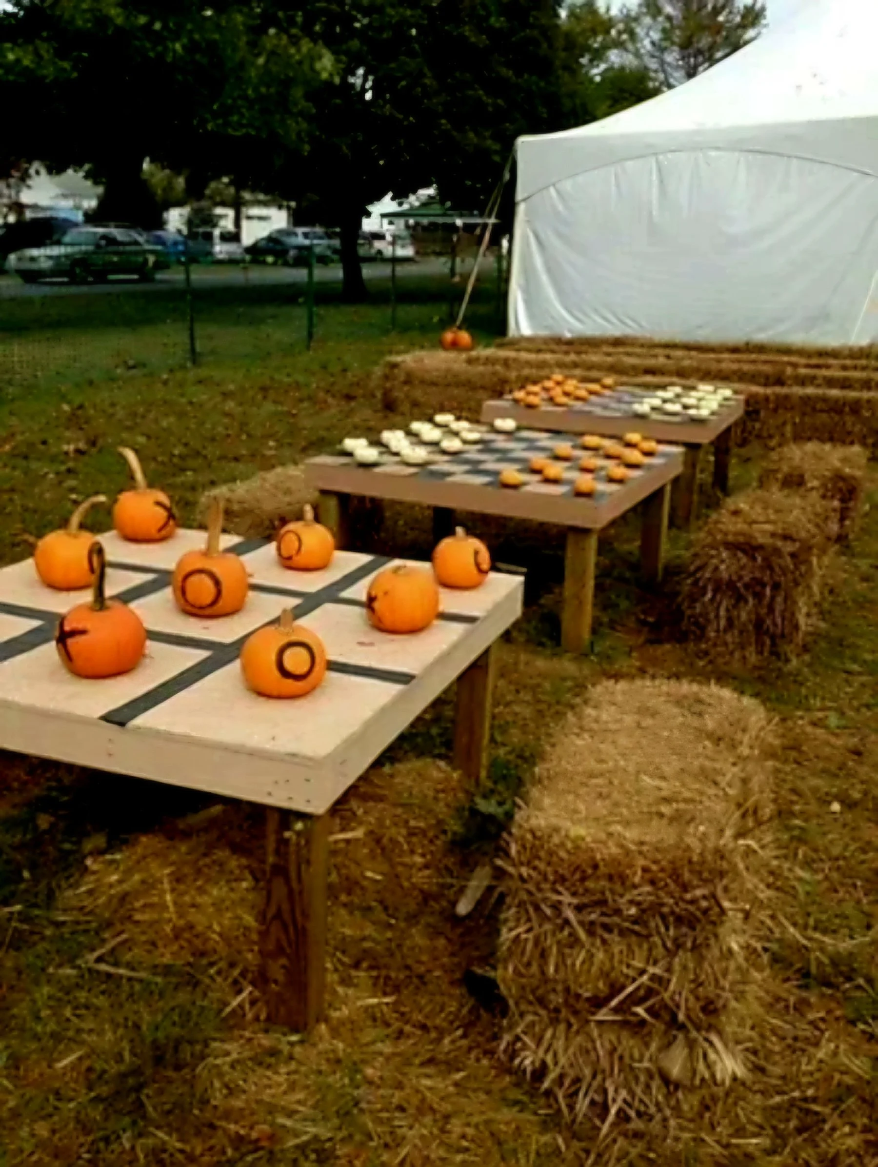 september fest 11 (2).jpg