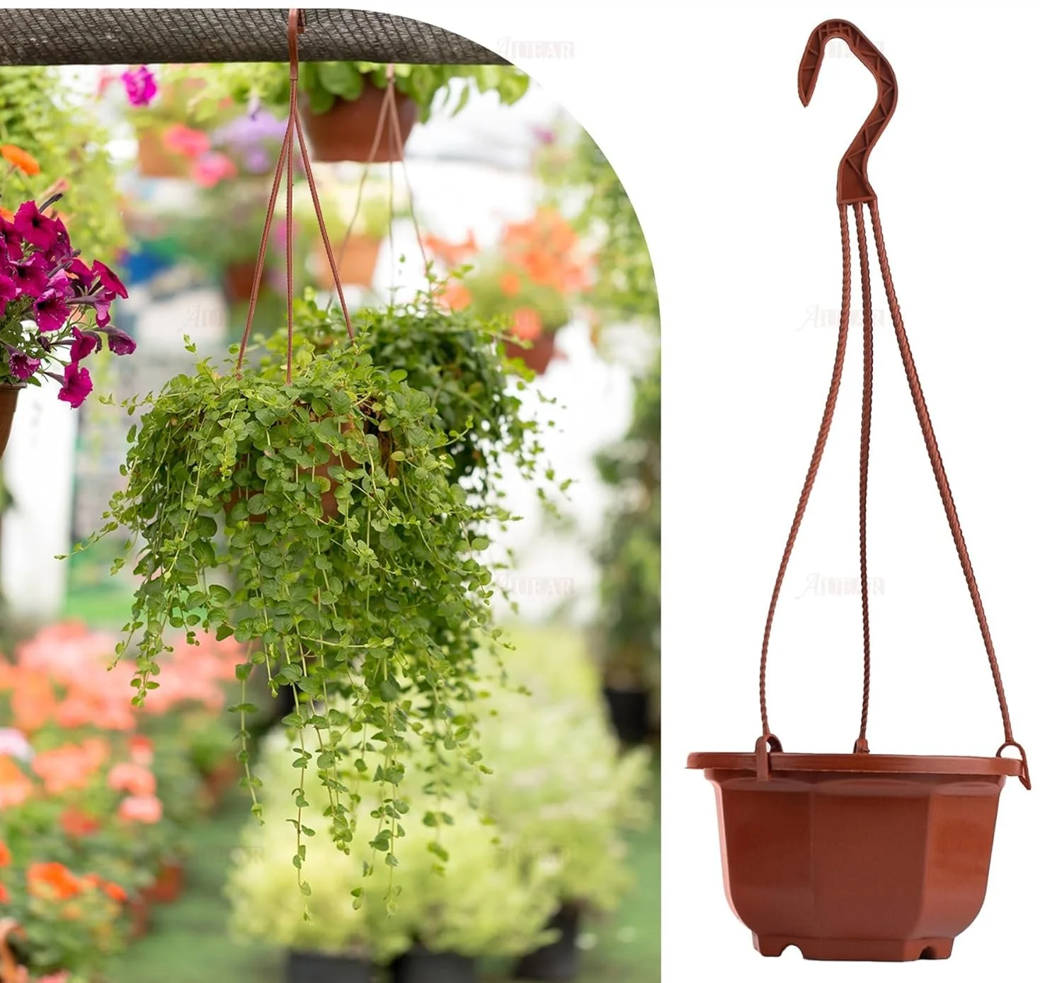 hanging basket.jpg