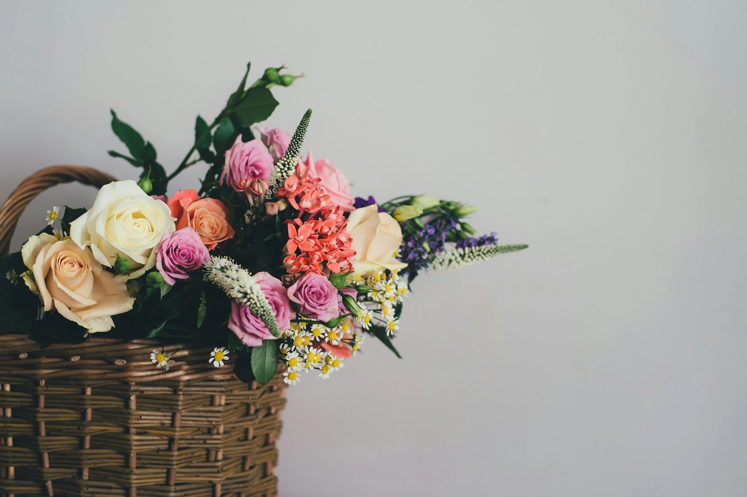 Women gathering fresh flowers and offering blooms to one another
