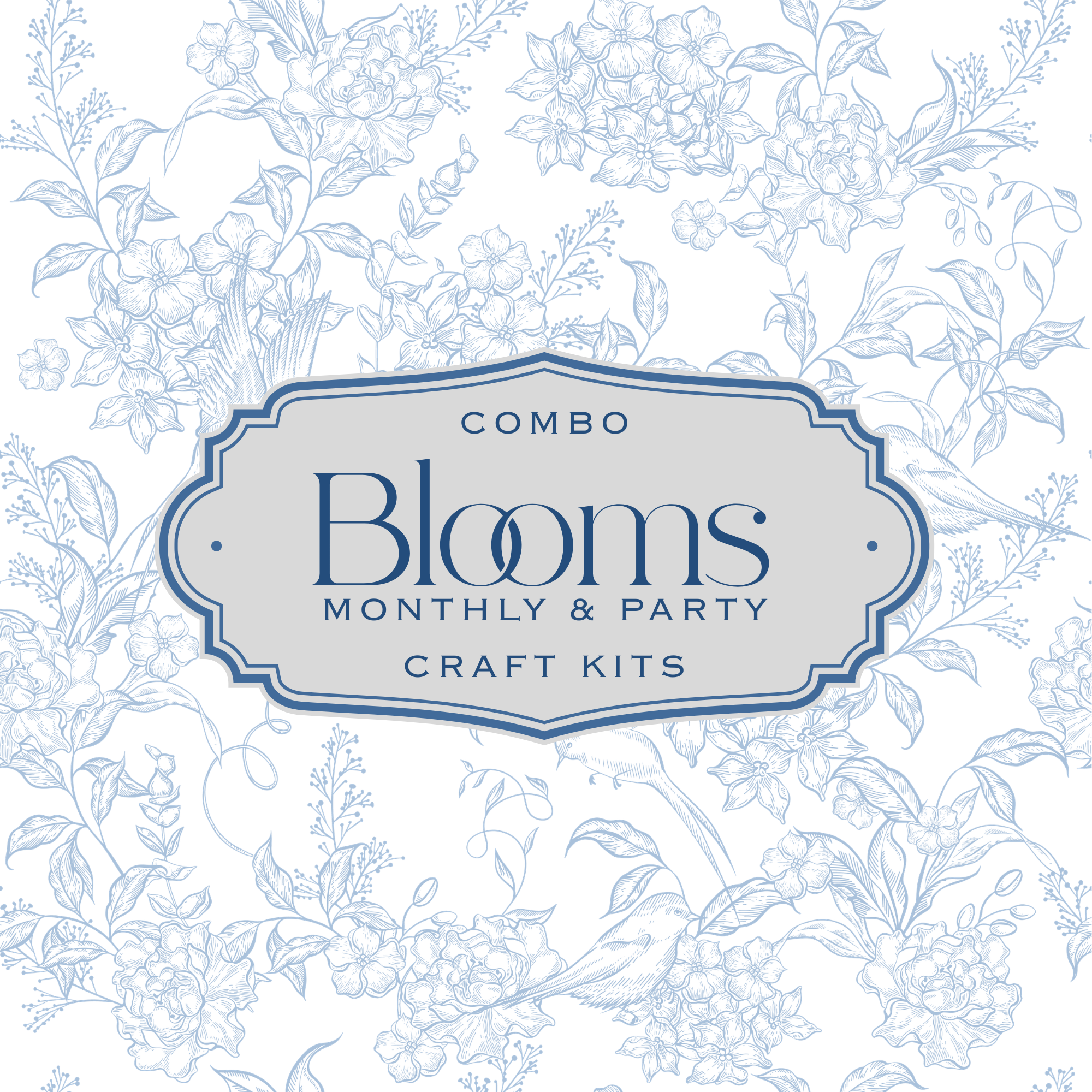 Combination Monthly  Individual & Party Craft Kits